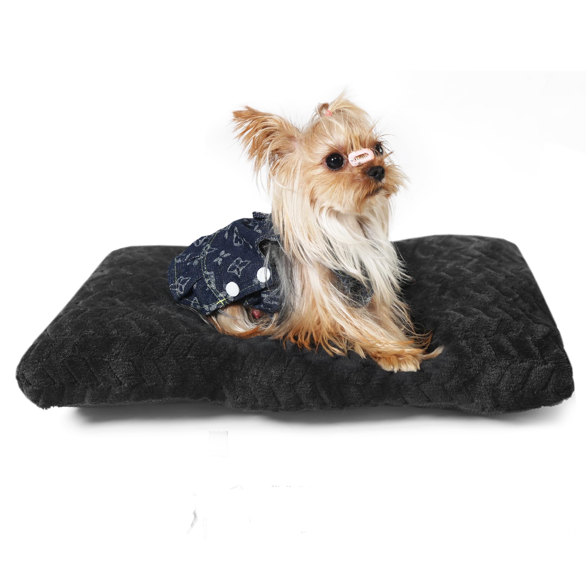 Necesitar Puppy Bed For Small Dogs Crate Pad Washable Ultra Soft Kennel Pad Fit Dog Cages With Anti-Slip 22 Inch Pet Comfy Sleep