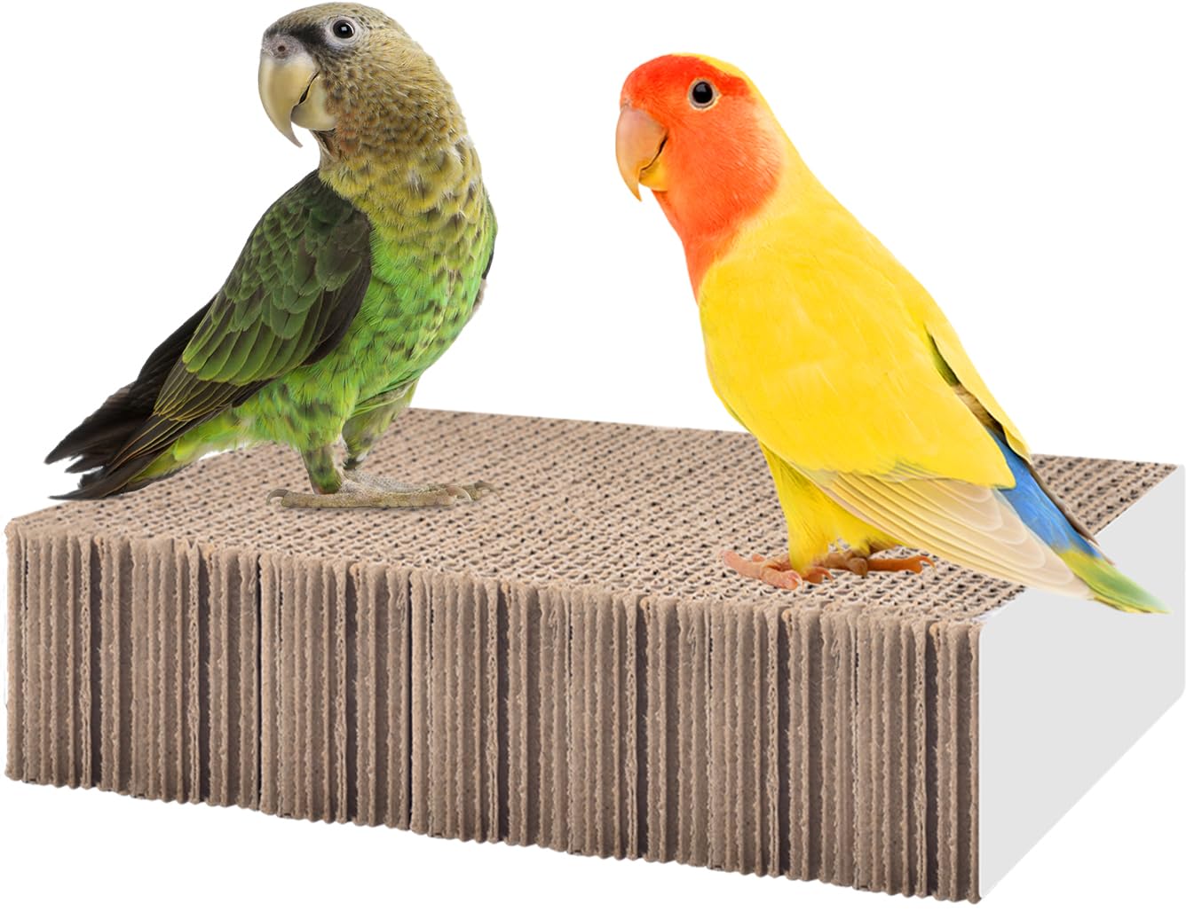 Katumo Parrot Toys, 7 Inch Conure Shredder Foraging Toys Bird Perch Stand Cardboard Cockatiel Chew Toys For Parakeet Canary Conu