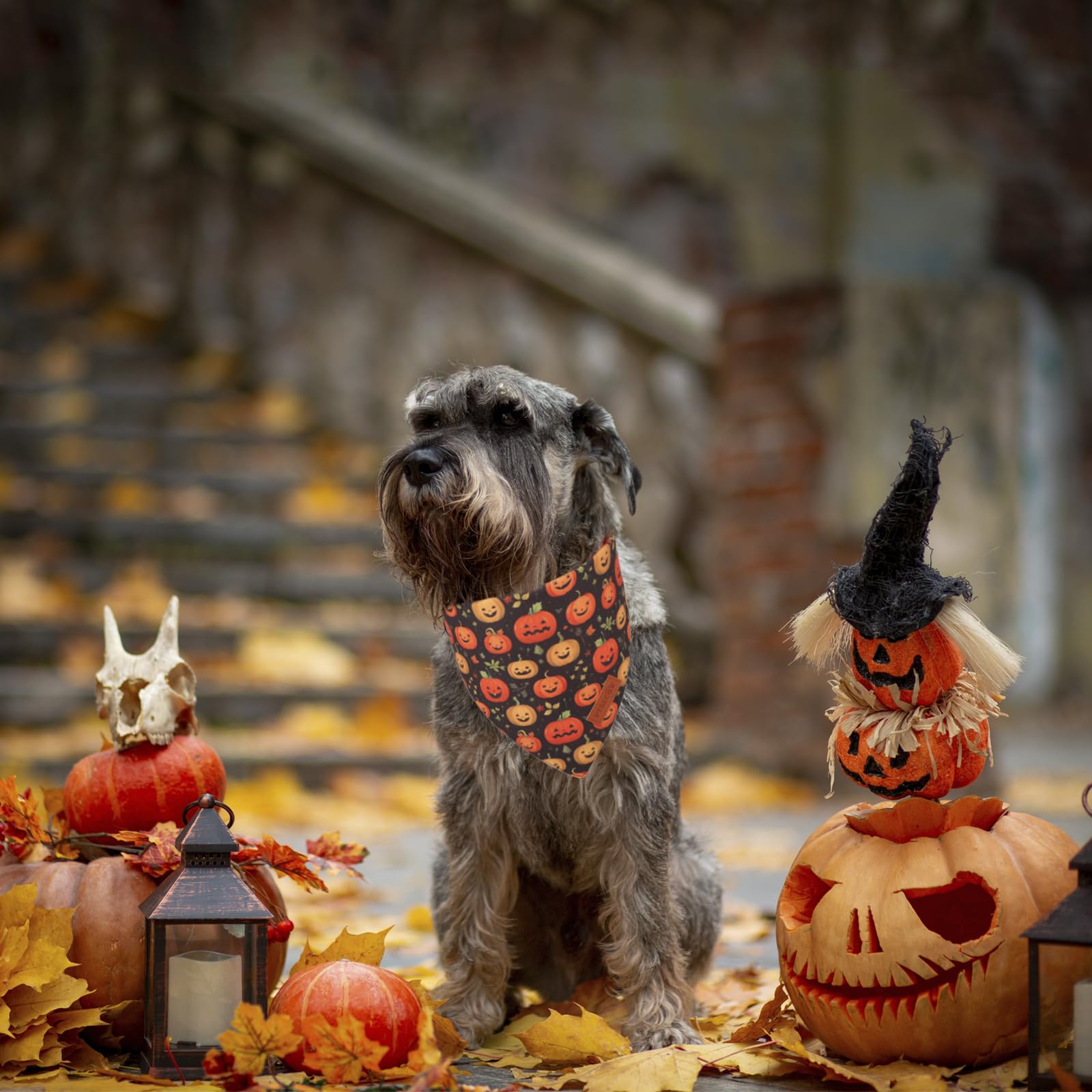 Ptdecor Halloween Dog Bandana, Skeleton Pumpkin Reversible Holiday Dog Scarf, Triangle Halloween Bandanas For Small Dogs Puppies