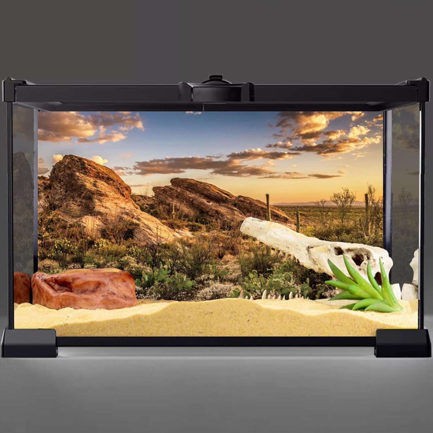 AWERT Reptile Habitat Background Blue Sky Oasis Cactus Sun and Desert Terrarium Background 48x24 inches Durable Polyester Backgr