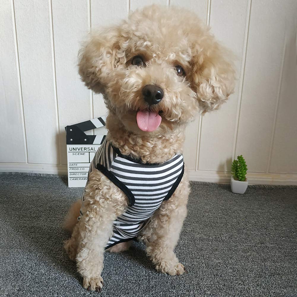 Dogs Recovery Suit Post Surgery Shirt For Puppy, Wound Protective Clothes For Little Animals(Black White Stripe-Xs)