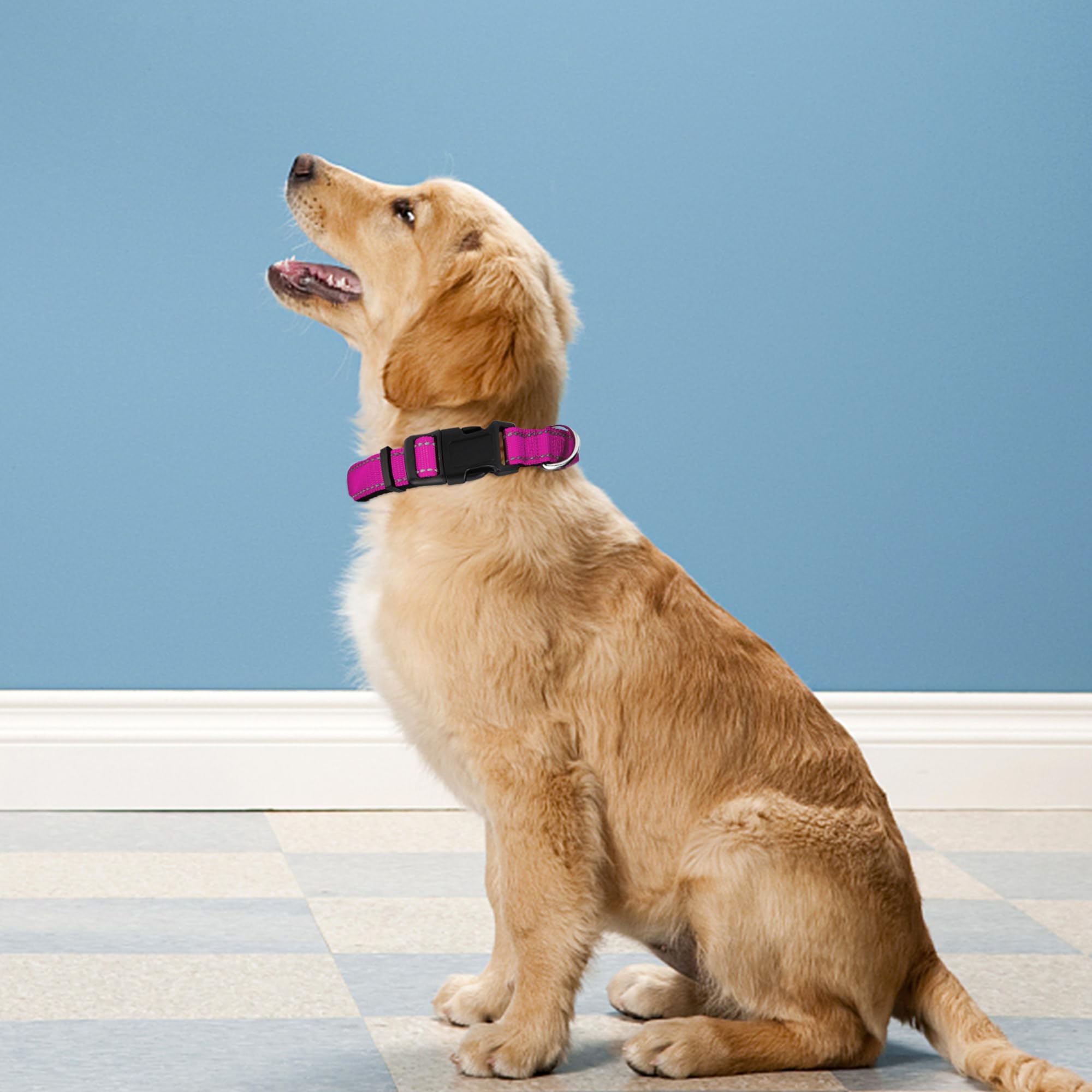 Pwod Reflective Dog Collar, Adjustable Soft Neoprene Padded Nylon Pet Collars With Buckle For Extra Large Dogs, Rose Red,Xl