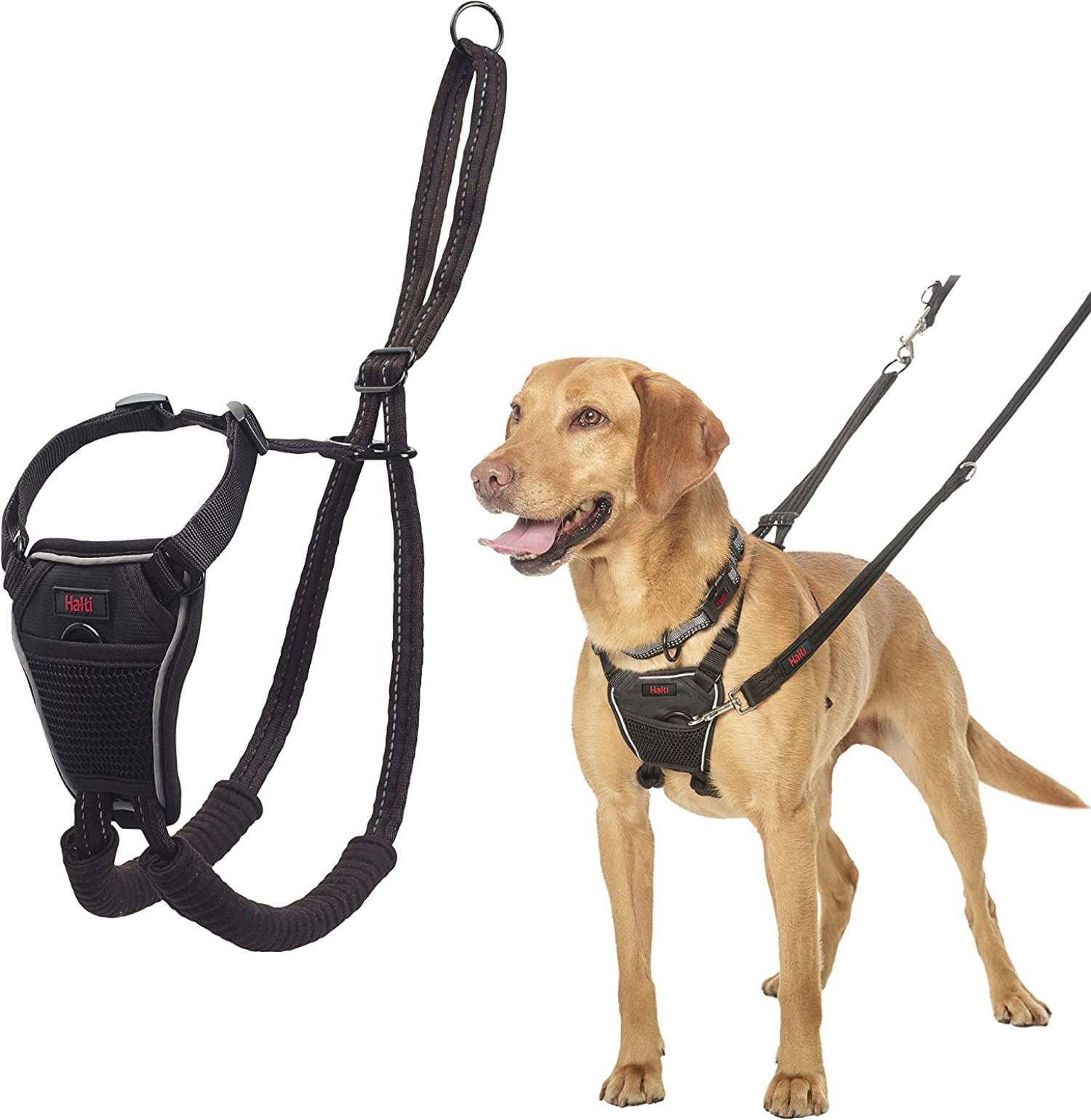 Halti No Pull Harness - To Stop Your Dog Pulling On The Leash. Adjustable, Lightweight And Easy To Use. Reflective Dog Training Harness For Medium Dogs (Size M)