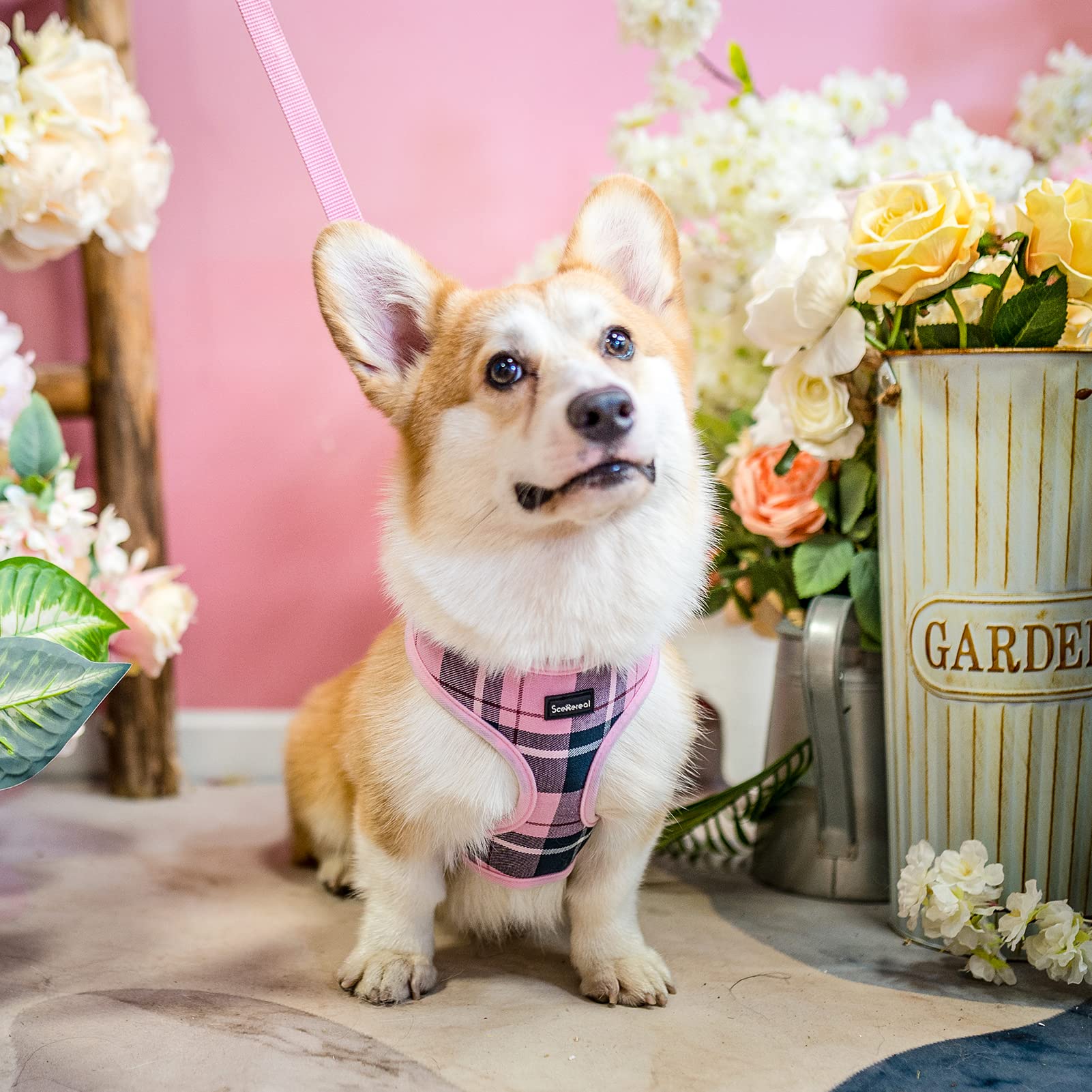 Scenereal Puppy Harness And Leash Set - Soft Mesh No Pull Vest Small Dog Padded Harness For Puppies & Cats