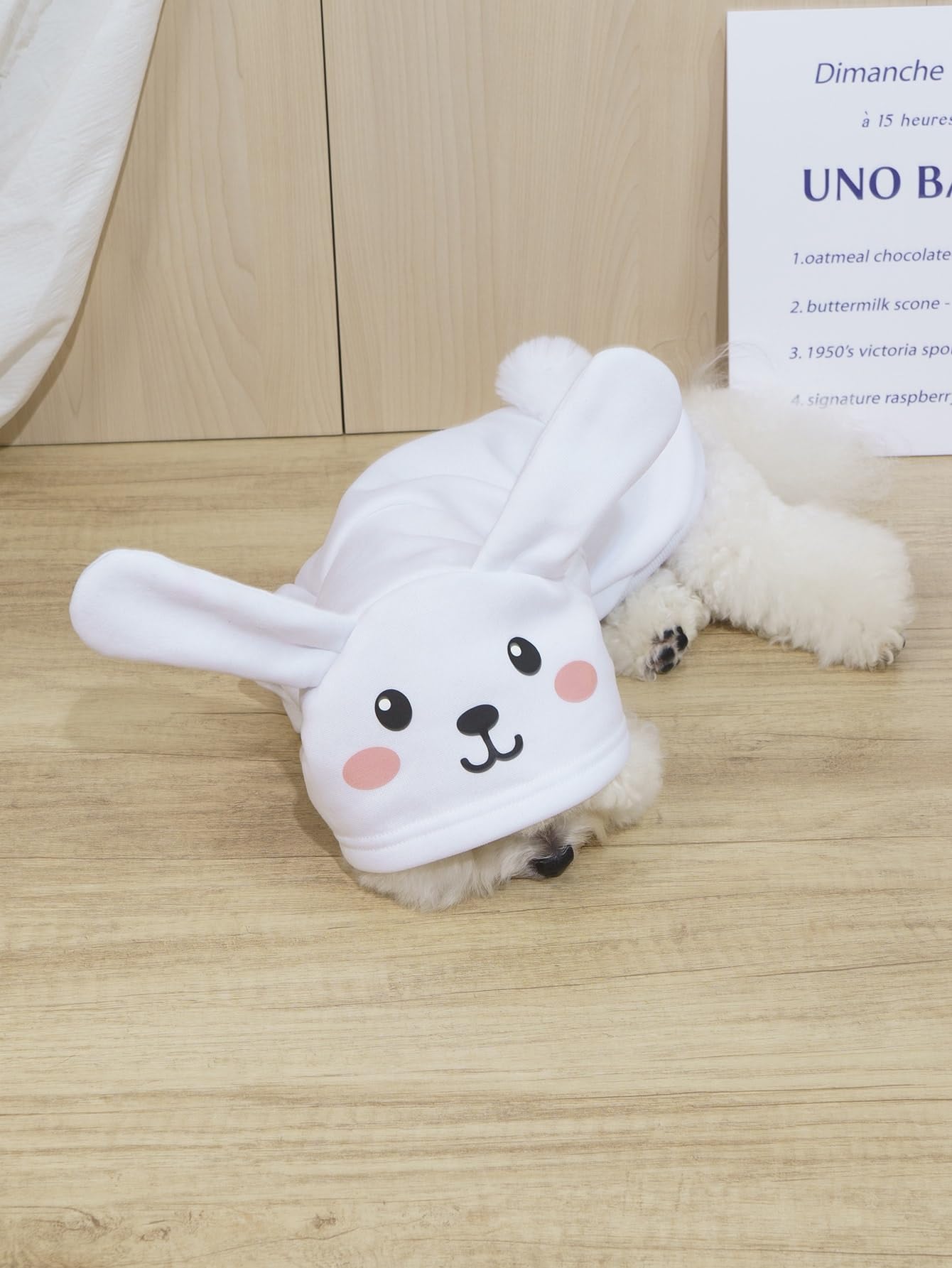 Qwinee Rabbit Dog Hoodie Dog Warm Jacket Coat Puppy Sweatshirt Christmas Halloween Dog Costume Cosplay Winter Dog Clothes Pet Apparel For Small Medium Dogs Cats Kitten Solid White Xl