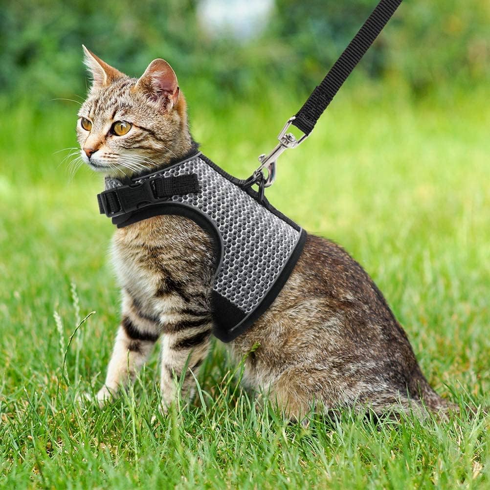 PUPTECK Soft Mesh Cat Vest Harness & Leash Set, Escape Proof, XL Grey, Polyester