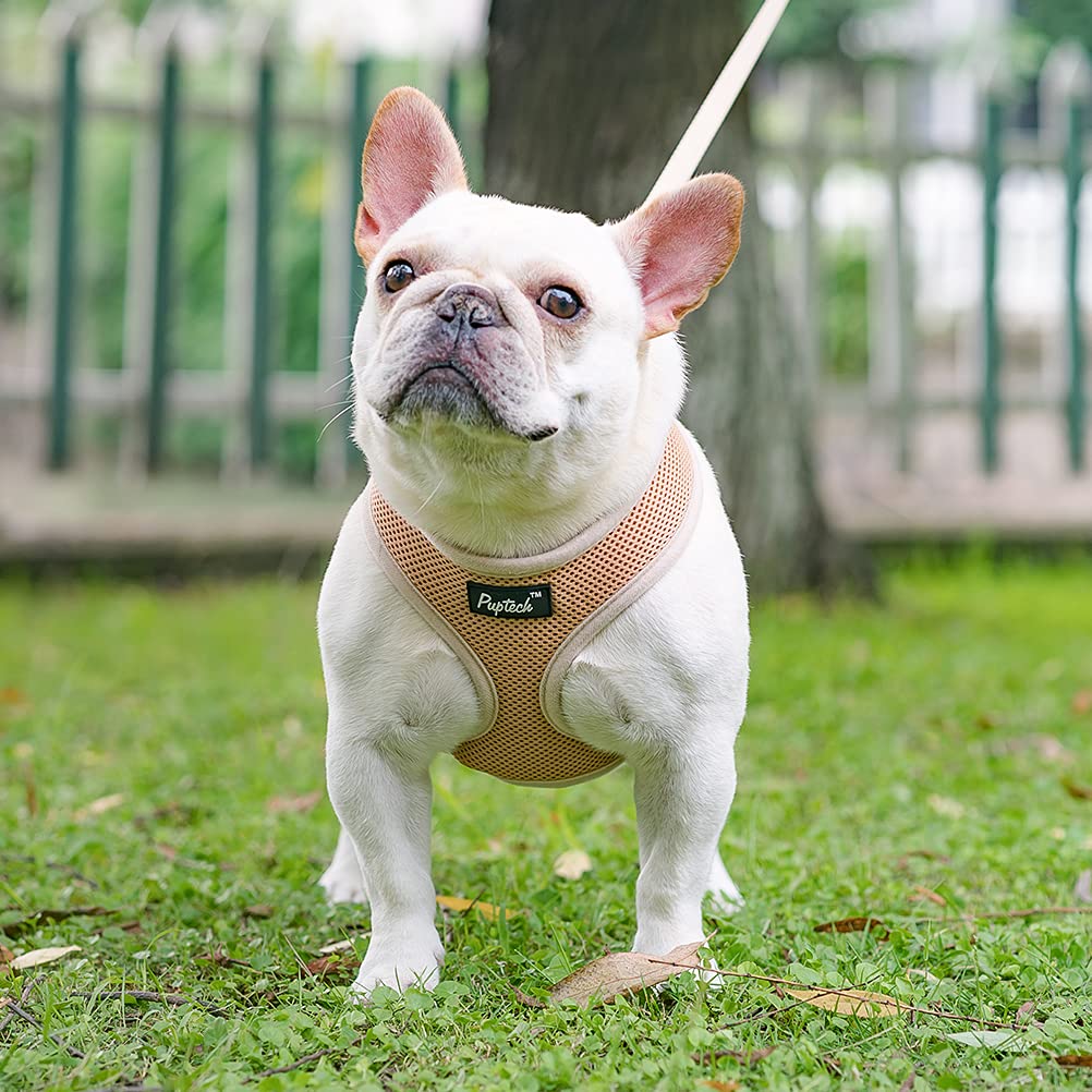 Pupteck Soft Mesh Dog Harness And Leash Set Pet Puppy Cat Comfort Padded Vest No Pull Harnesses, Solid Beige, S