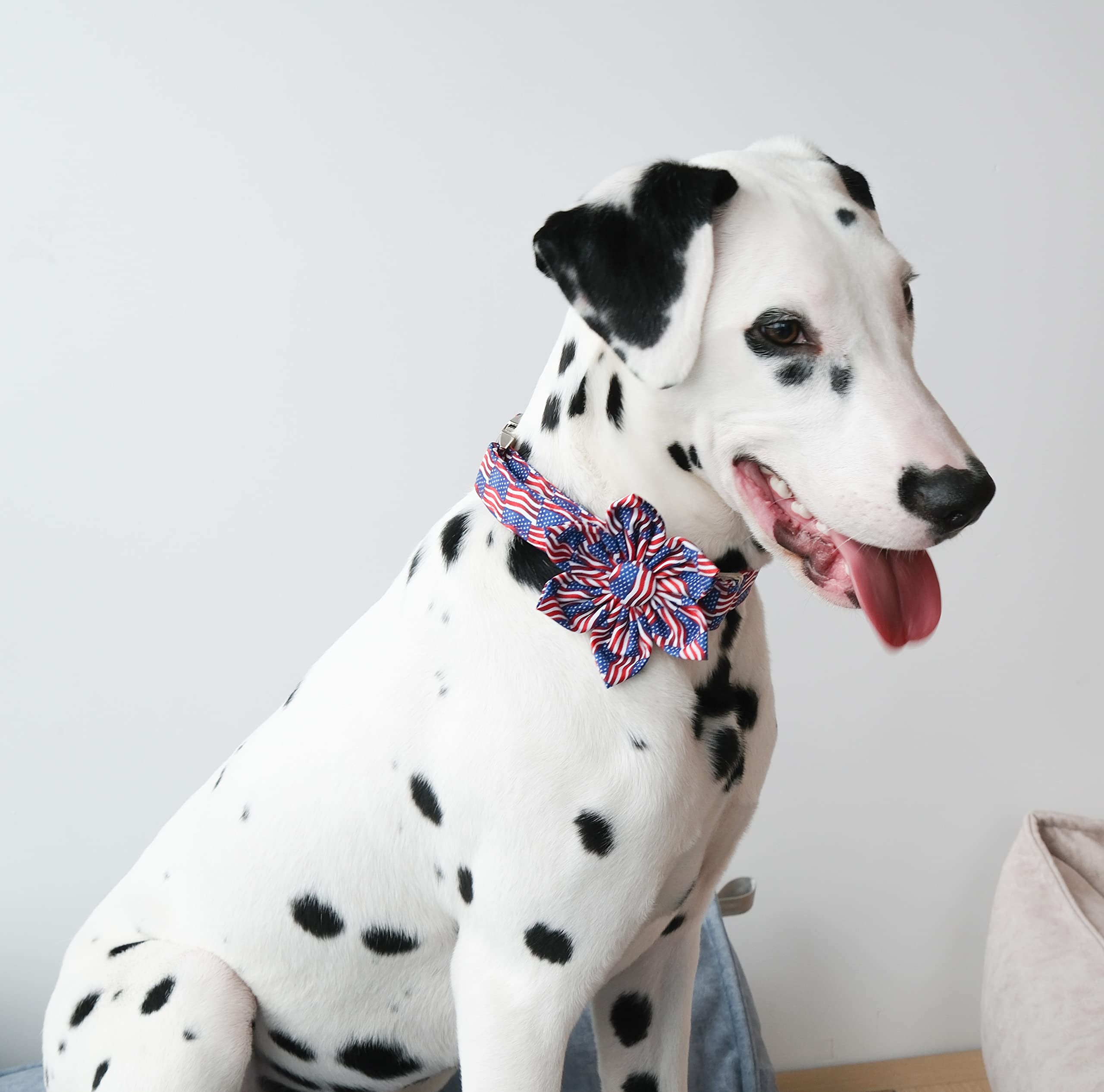 Unique Style Paws Independence Day Flag Dog Collar, Best For Small Medium Large Boys Girls Dogs