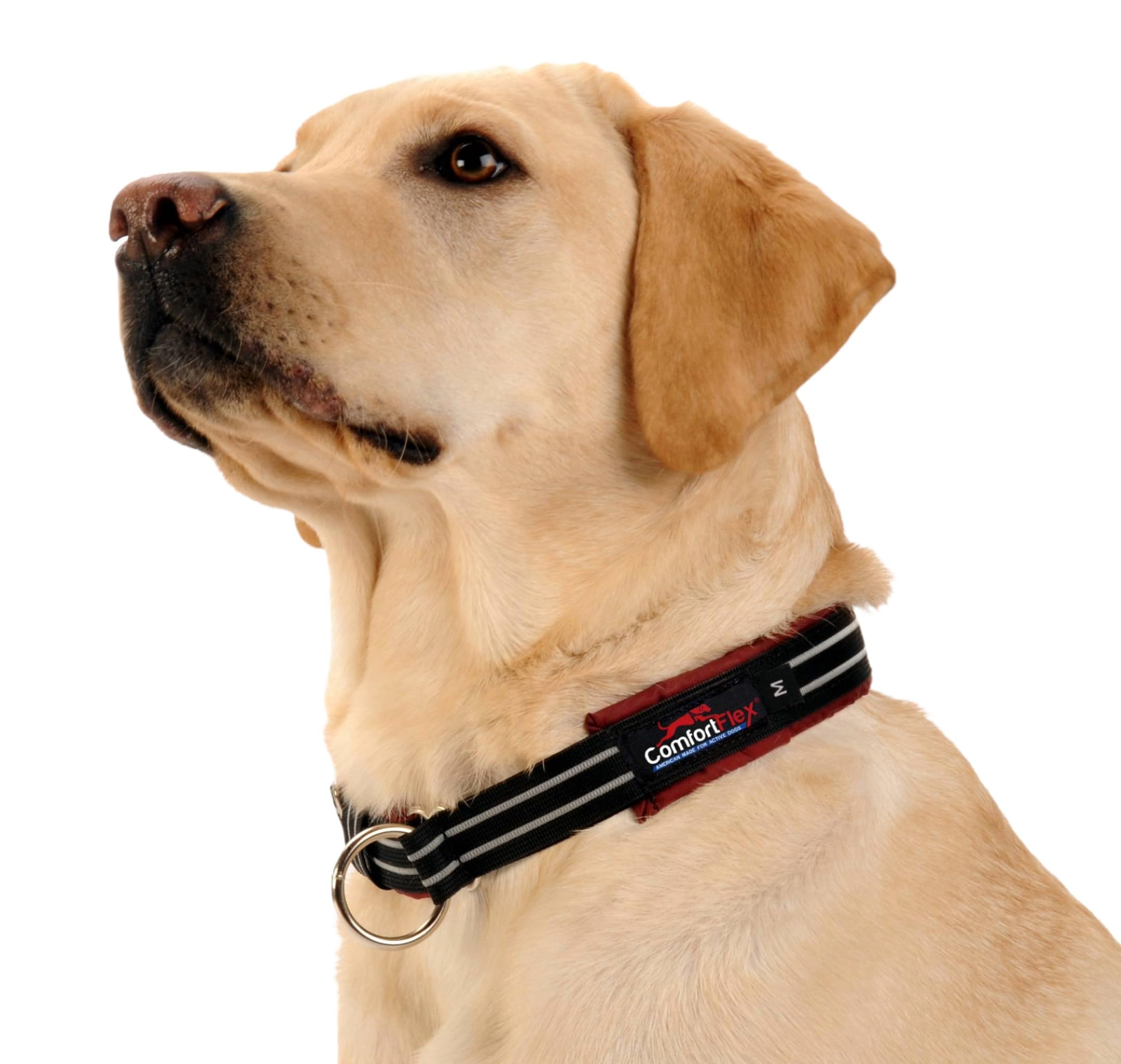 ComfortFlex Martingale Collar - Made in The USA - 1.5 Wide, Reflective, Adjustable, Fully Padded Nylon, Gentle Control, Escape-P