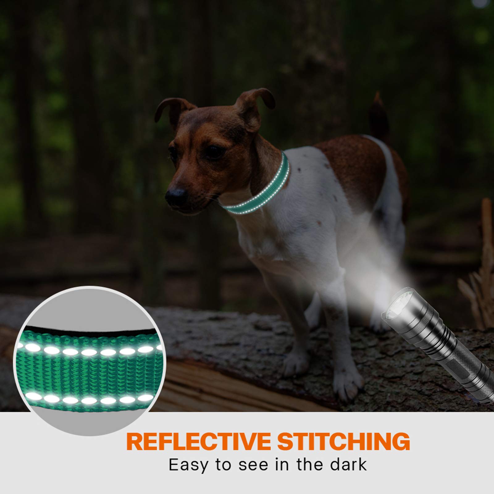 Taglory Reflective Dog Collar With Safety Locking Buckle, Adjustable Nylon Pet Collars For Small Dogs, S, Turquoise