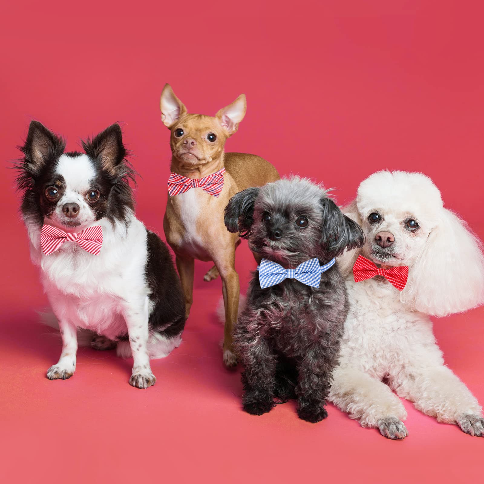 Segarty Dog Bow Tie, 10 Pcs Bowties Dog Collar Holiday Cat Collar Grooming Bulk Bows For Festival Party Pet Puppy Photography Ne
