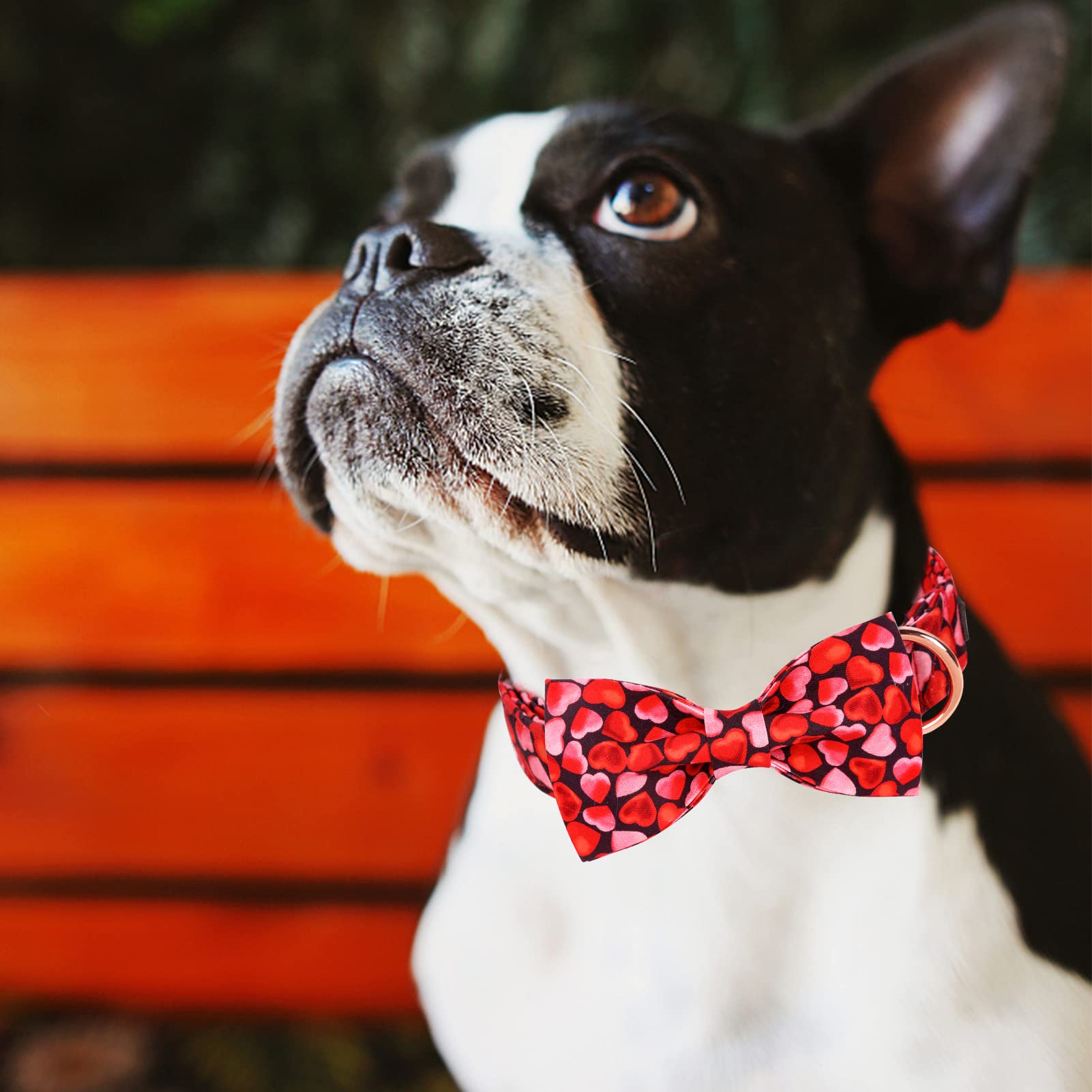 Mr. Chubbyface Valentine Dog Collar Pink Love Dog Collar With Bow Adjustable Dog Collar Bowtie For Small Medium Large Dogs