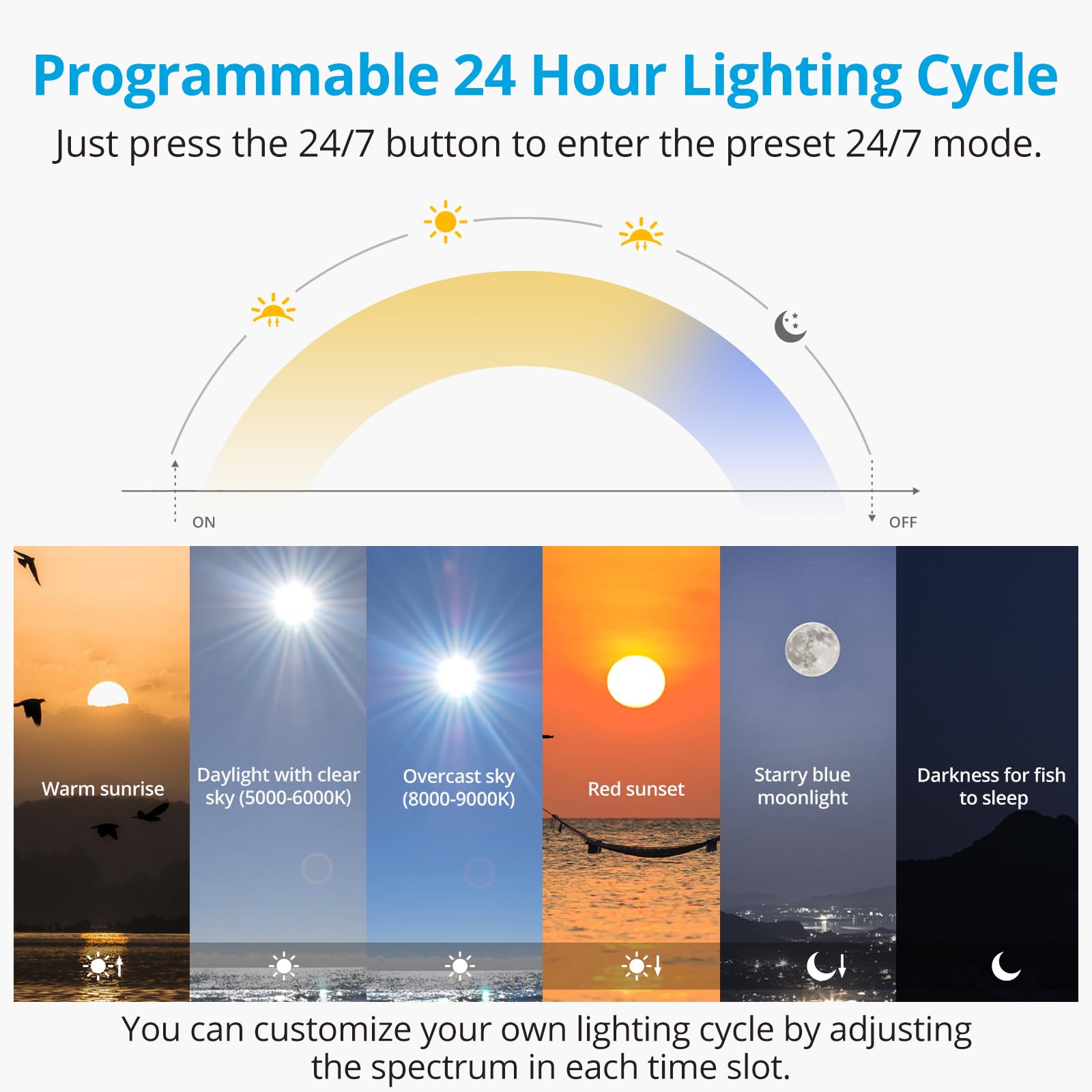 NICREW C10 24/7 LED Aquarium Light for Plants, 12-18 Inches, Full Spectrum Fish Tank Light with Timer, Brightness Adjustable
