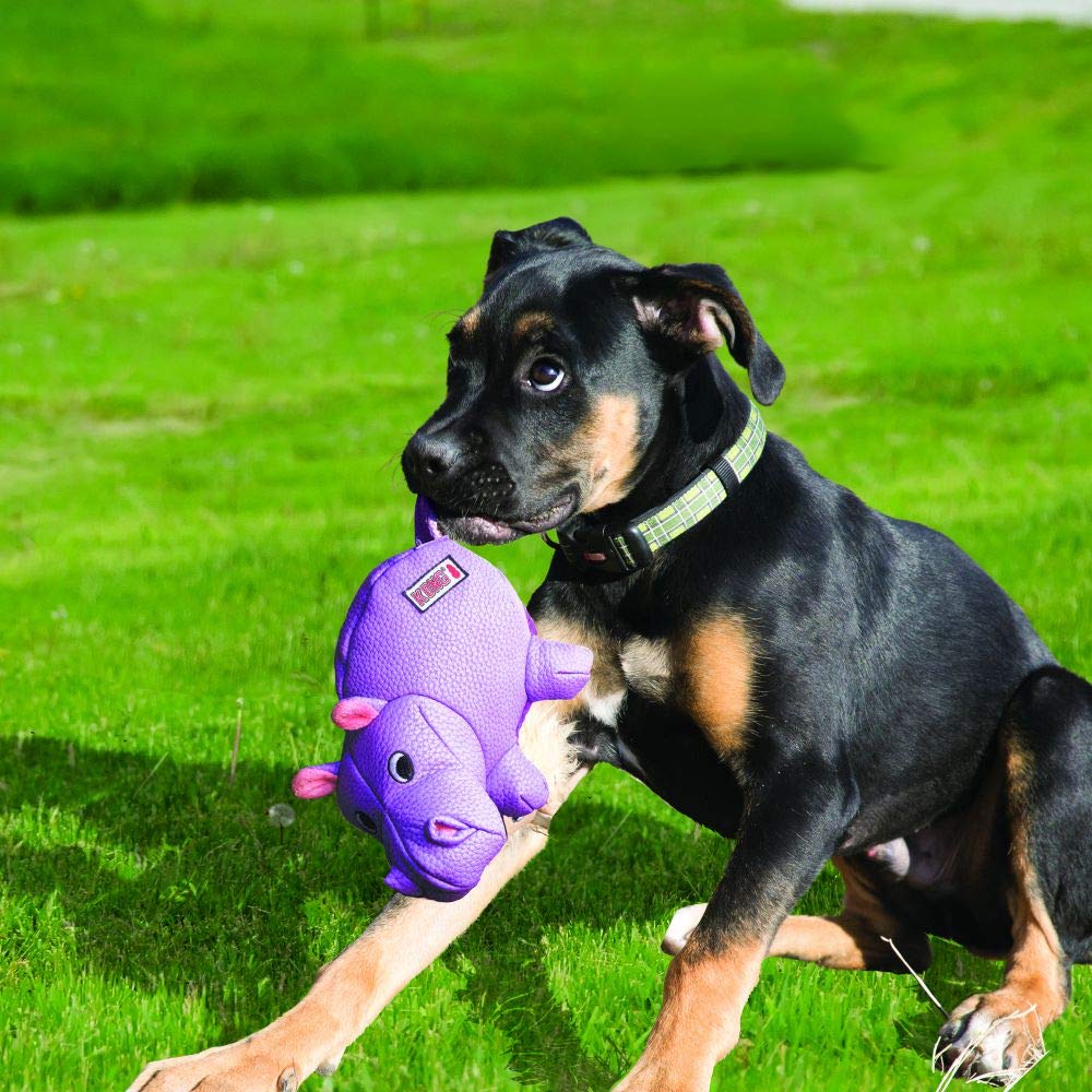 KONG Phatz™ Hippo Dog Toy - Medium, Plastic, No Color, Model RPA21
