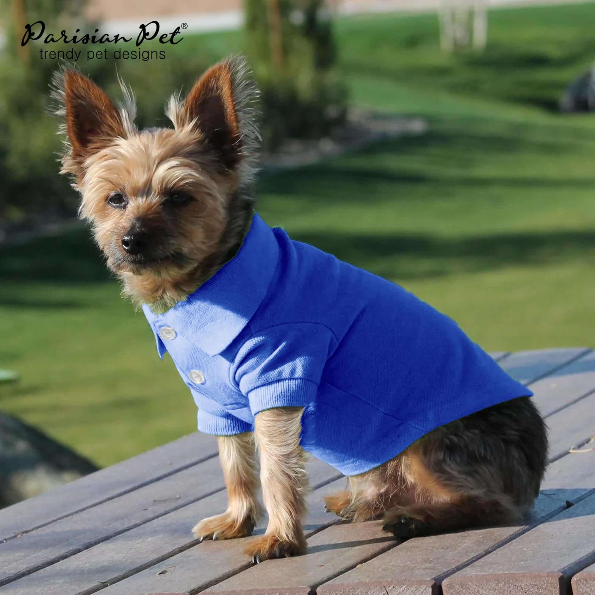 Parisian Pet Dog Polo Shirts - Breathable Cotton Shirt - Solid Blue, Summer Pullover - Button Up Collar Polo For Small Dogs