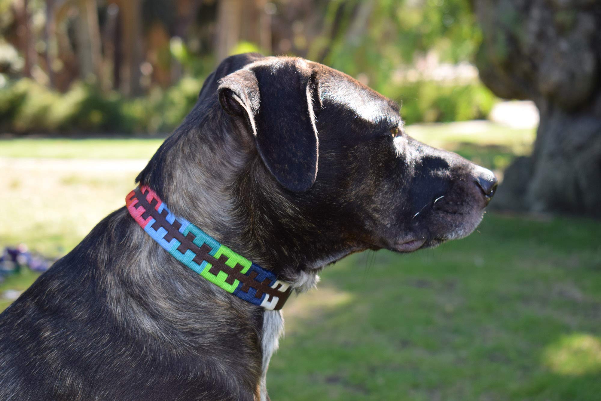 Gaucho Goods Tribal Leather Dog Collar - Zephyr (S)