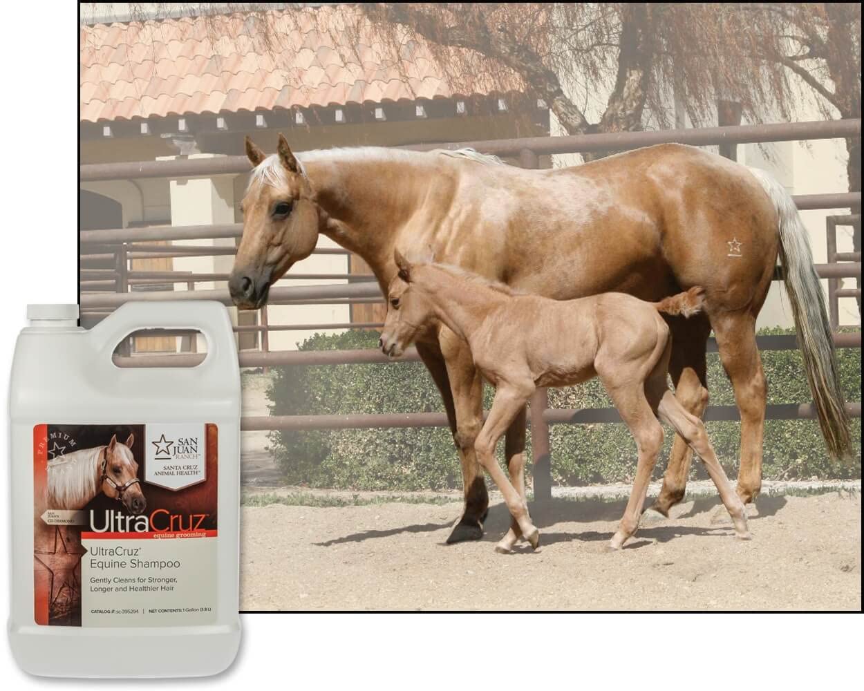 Ultracruz Equine Horse Shampoo, 1 Gallon
