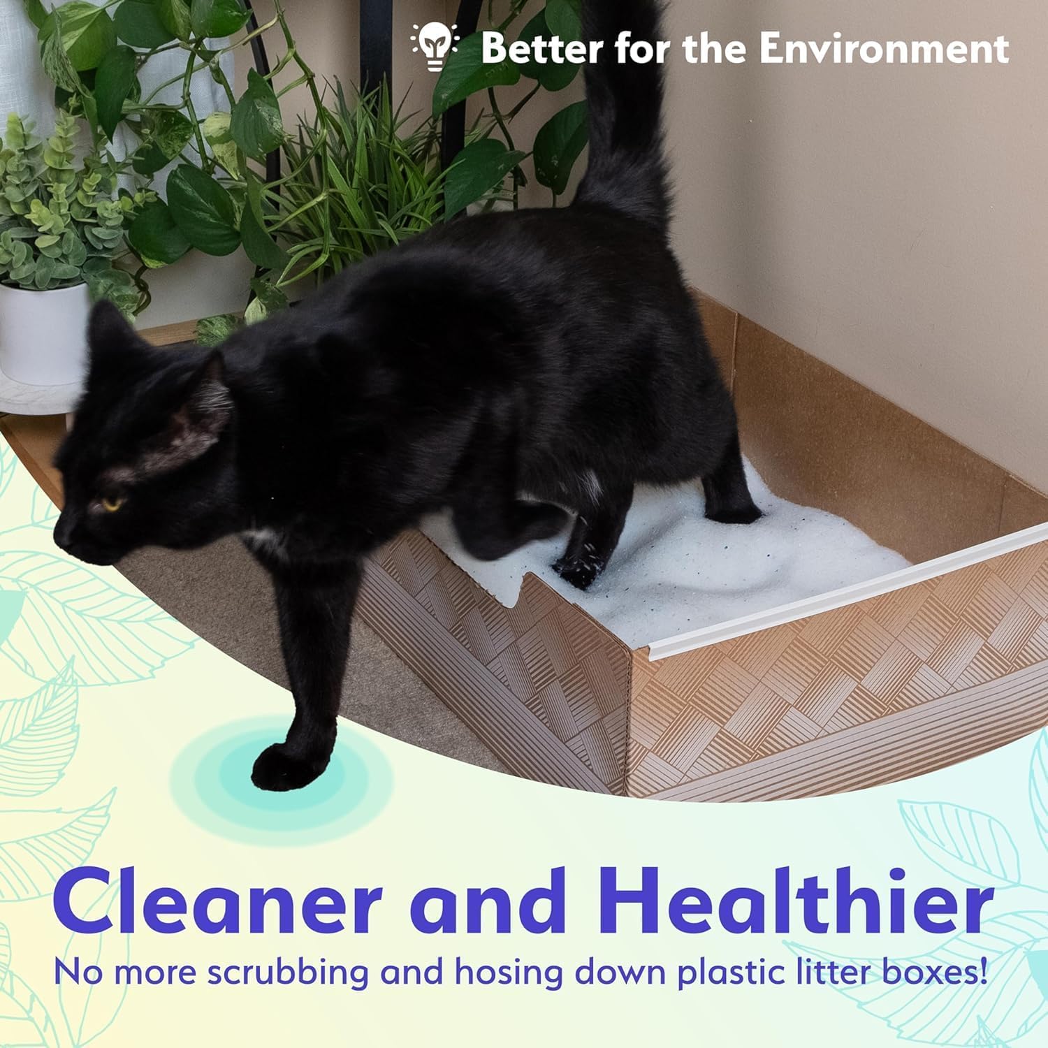 Leakproof Disposable 2-Pack Cat Litter Box With 2 Bags Of 6 Lbs Litters | Superior Odor Control & Recyclable Design | Perfect Fo