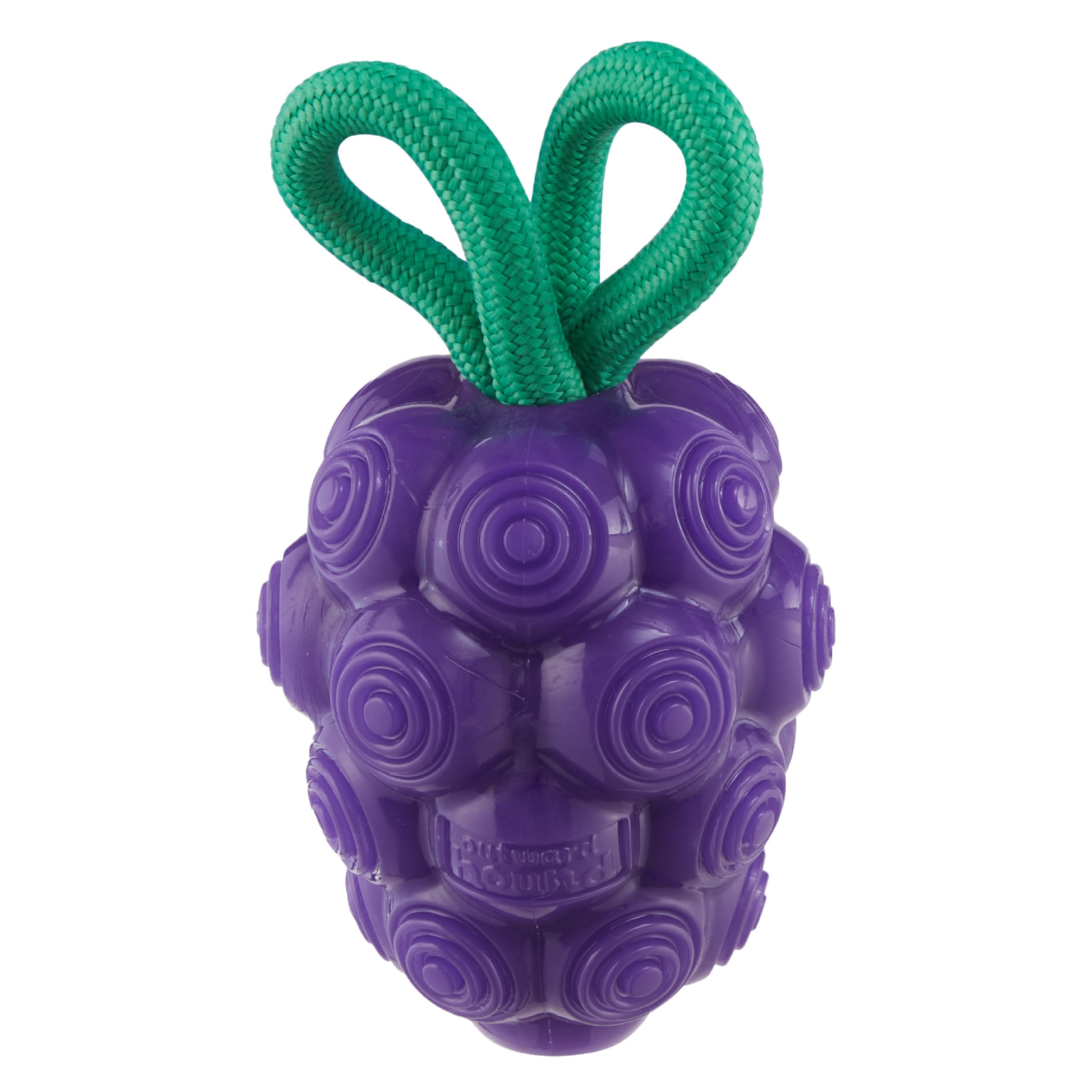Outward Hound By Planet Dog Dental Grapes 2-In-1 Interactive Dog Chew Toy And Treat Stuffer, Medium, Purple