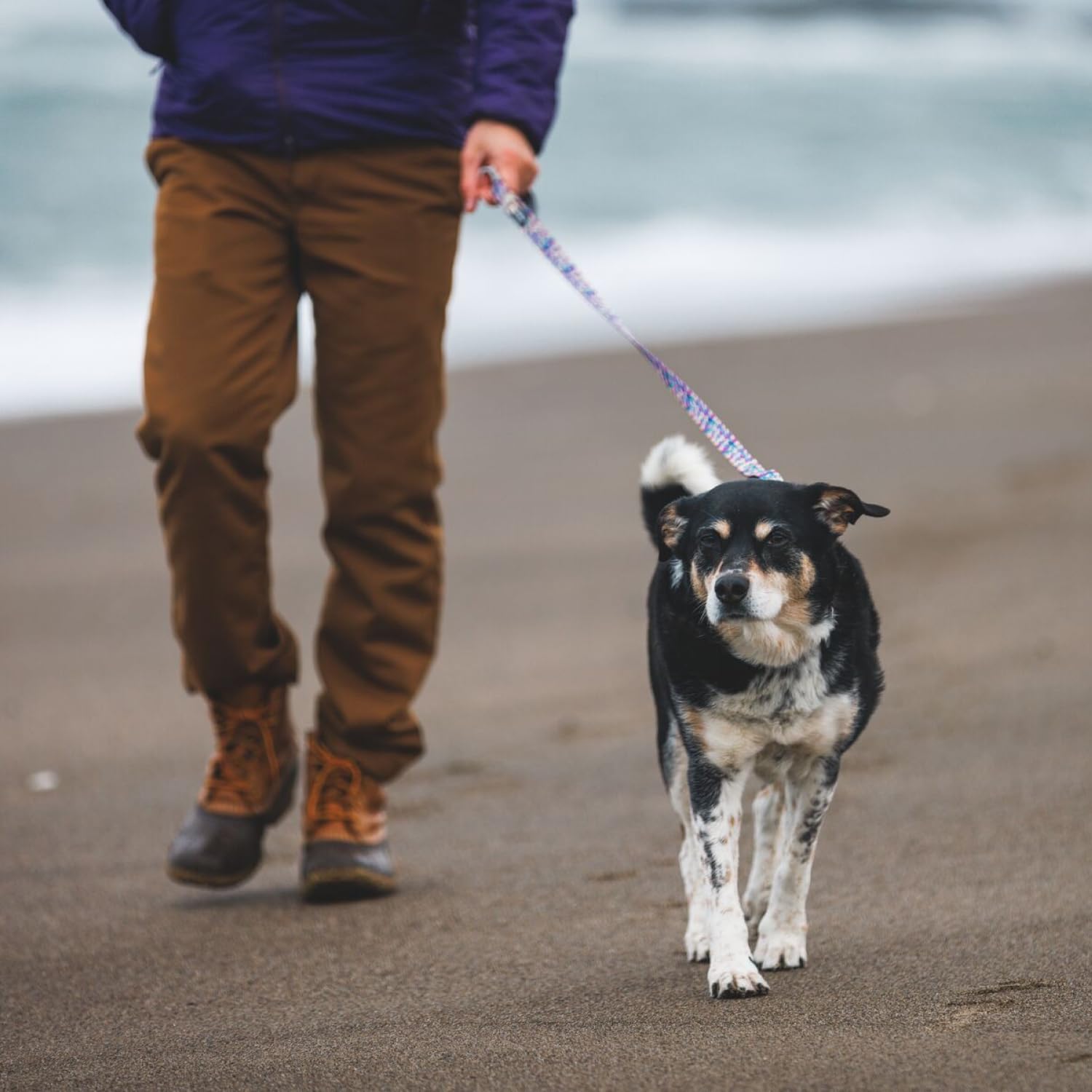 Ruffwear, Front Range Dog Leash, 5 Ft Lead With Padded Handle For Everyday Walking, Deep Jungle