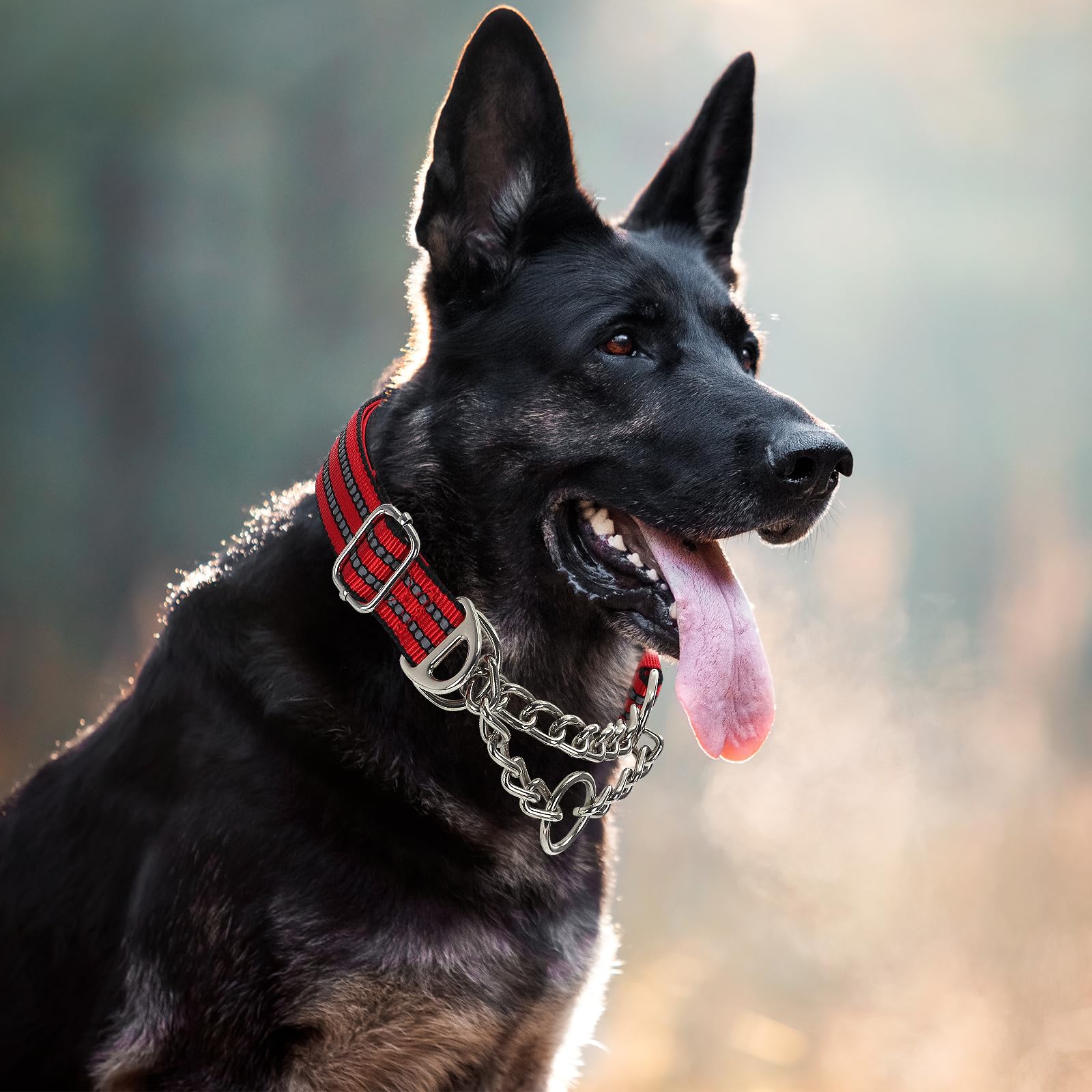 Martingale Dog Collar For Training,Adjustable No Pull Reflective Collar With Chain Collars For X-Large Dogs Secure/Comfortable W