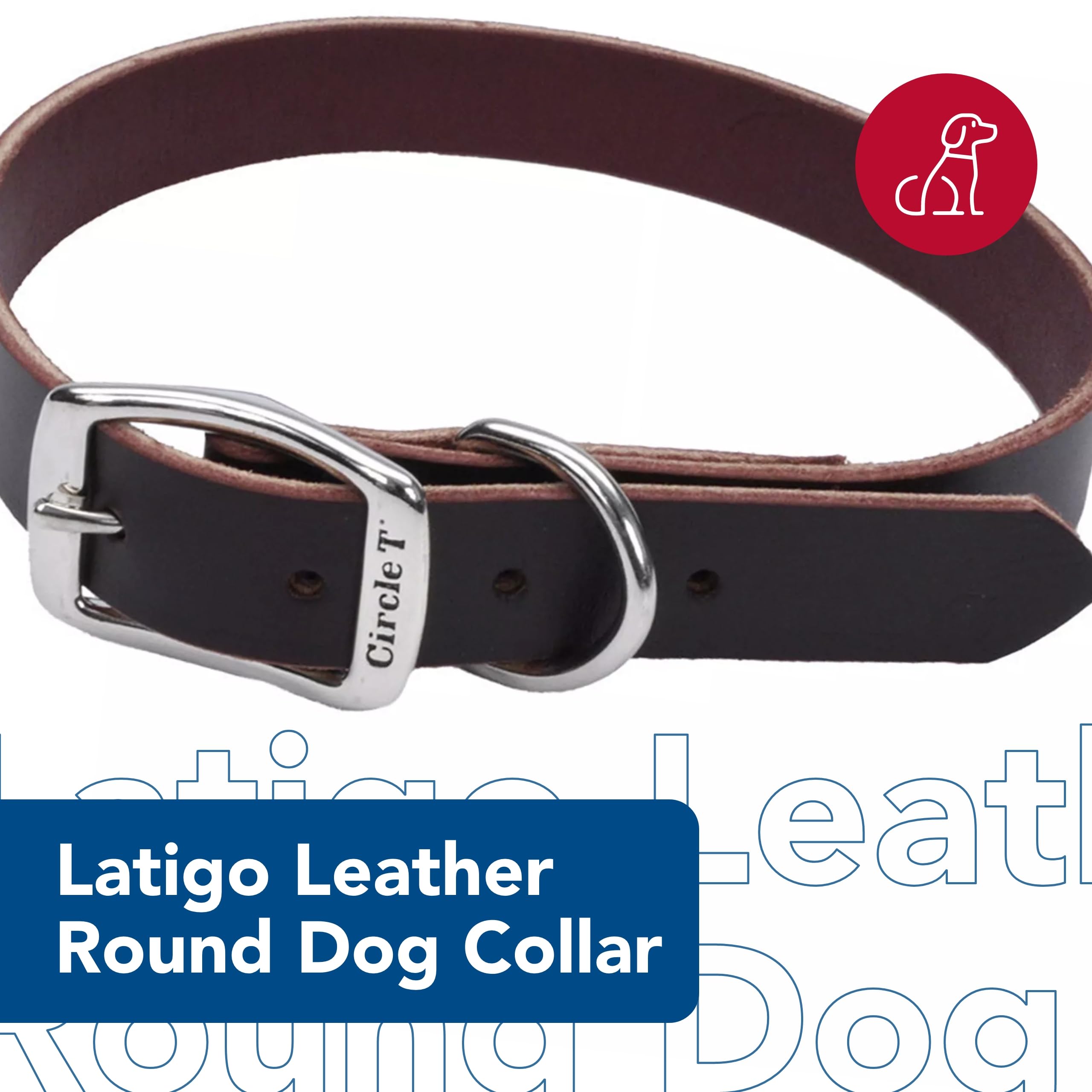 Coastal Pet - Circle T - Latigo Leather Town Dog Collar, Latigo, 3/8'' x 12''