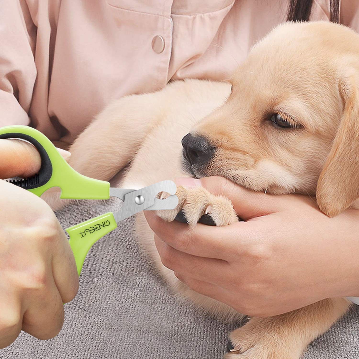 Onecut Pet Nail Clippers, Update Version Cat & Kitten Claw Nail Clippers For Trimming, Professional Pet Nail Clippers Best For A Cat, Puppy,Rabbit, Kitten & Small Dog,Sharp & Safe (Green)