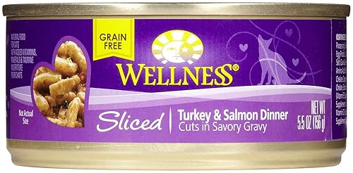 Well Slice Tur Salm Dinn 5.5Z (Pack Of 24)