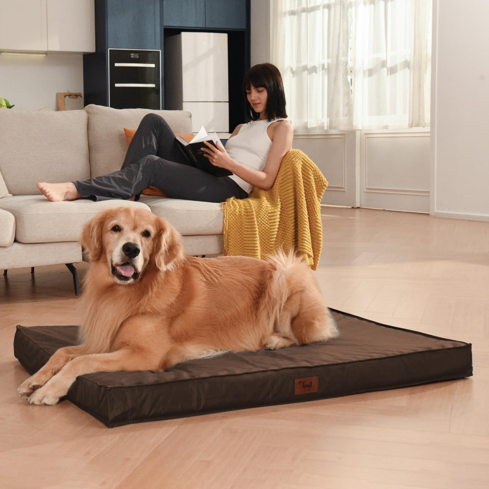 Tail Stories Outdoor Dog Bed - Waterproof Oxford Fabric, Orthopedic Egg Foam, 30"L x 20"W x 3"Th, Brown