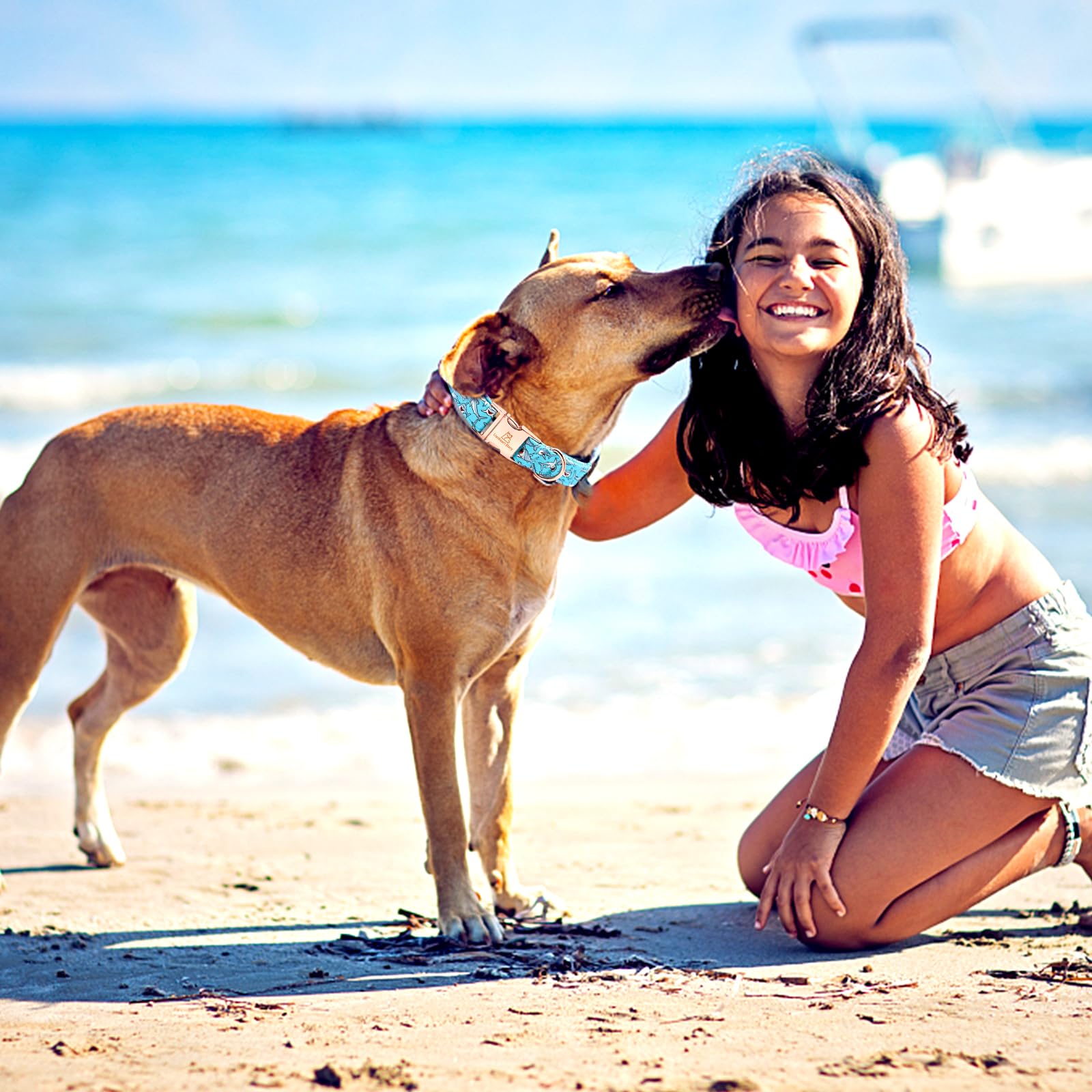 Lionheart Glory Blue Dog Collar Shark Print Dog Collar For Large Dogs Soft Durable Adjustable Dog Collars Boy Pet Gift