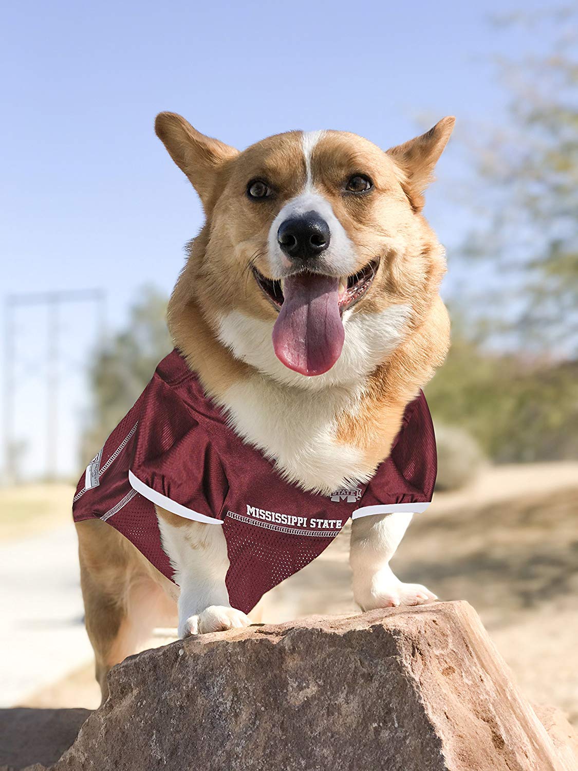Pets First NCAA College Mississippi State Bulldogs Mesh Jersey for DOGS & CATS, Size X-Small, Licensed Dog Jersey with your Favo