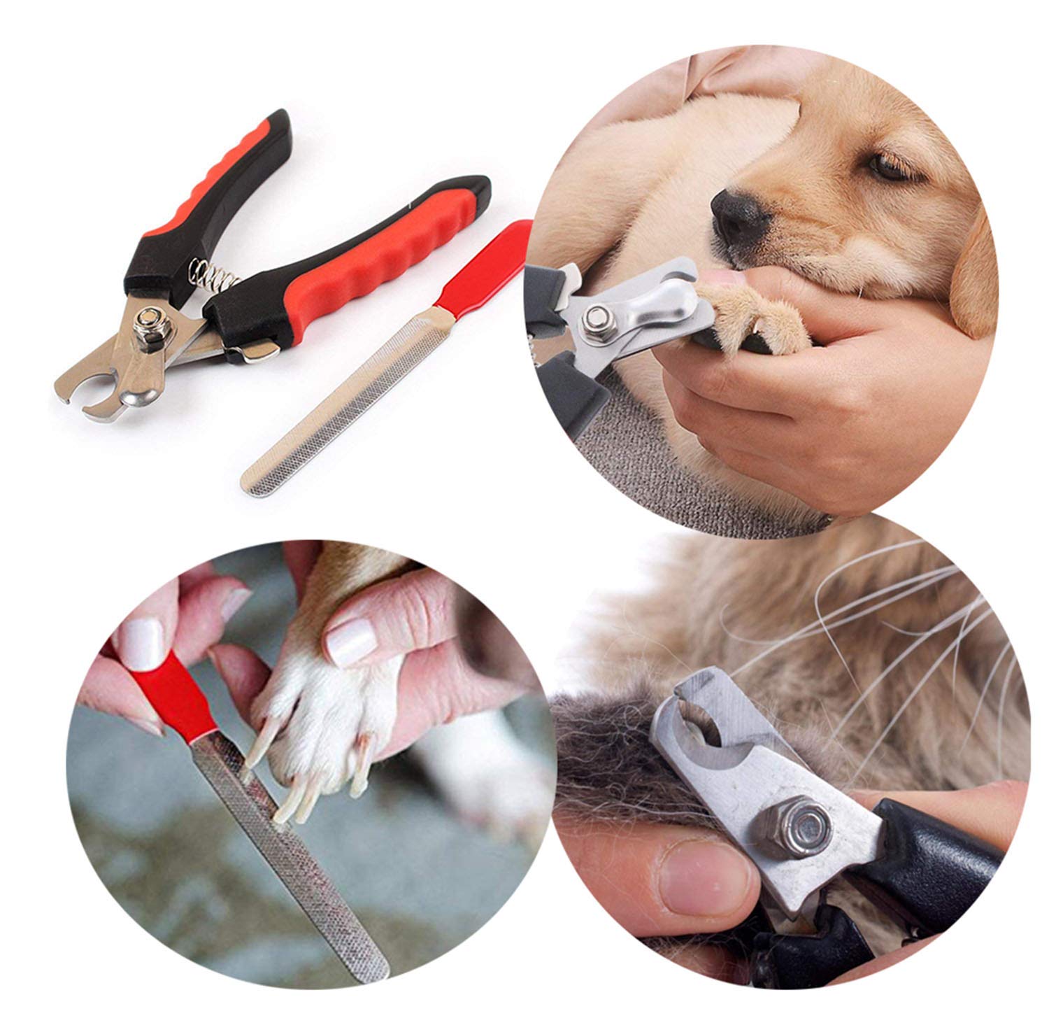 Jistl Dog Nail Clippers And Trimmer With Safety Guard To Avoid Over-Cutting Professional Pet Nail Clipper Quick Sensor For Dogs Or Cats