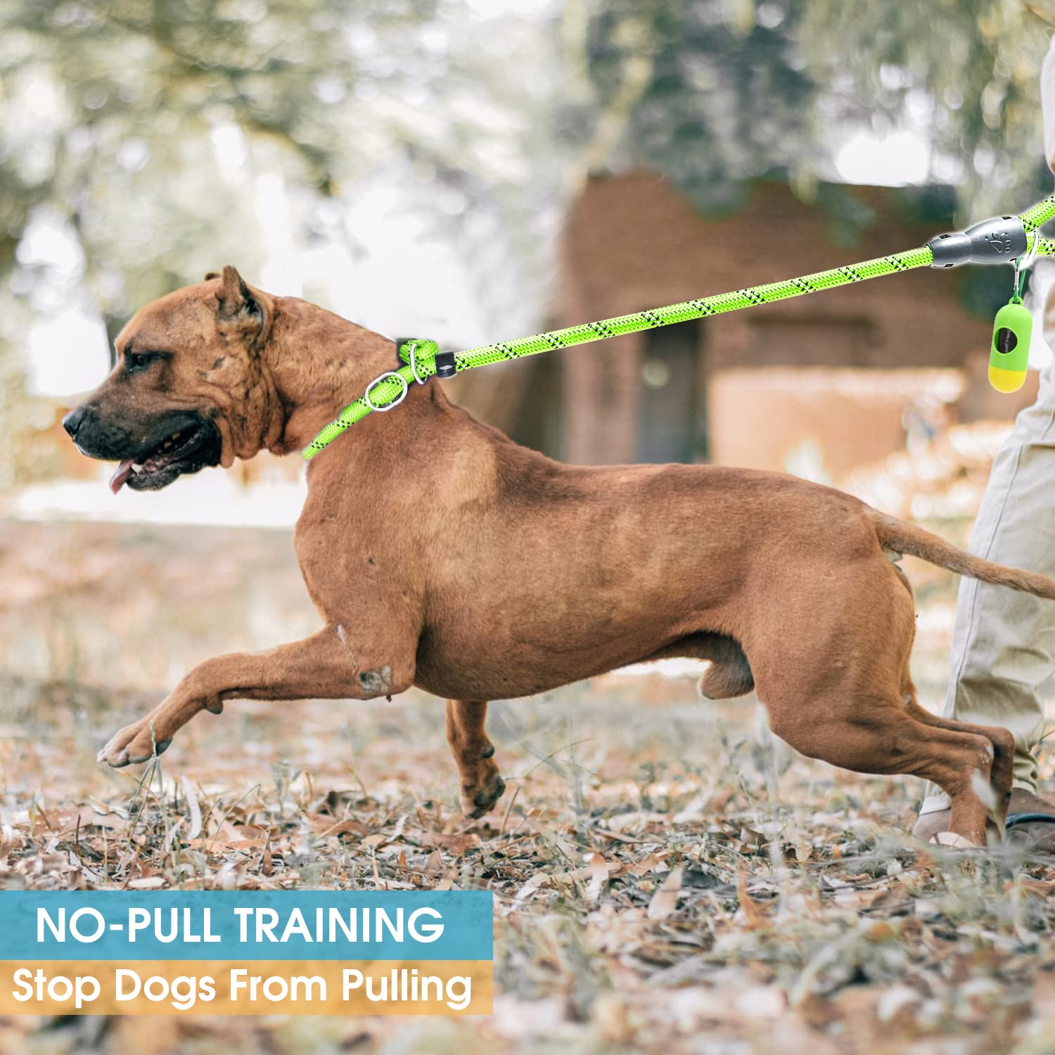 Baapet 6 Feet Slip Lead Dog Leash Anti-Choking With Upgraded Durable Rope Cover And Comfortable Padded Handle For Large, Medium, Small Dogs Trainning With Poop Bags And Dispenser (Green)