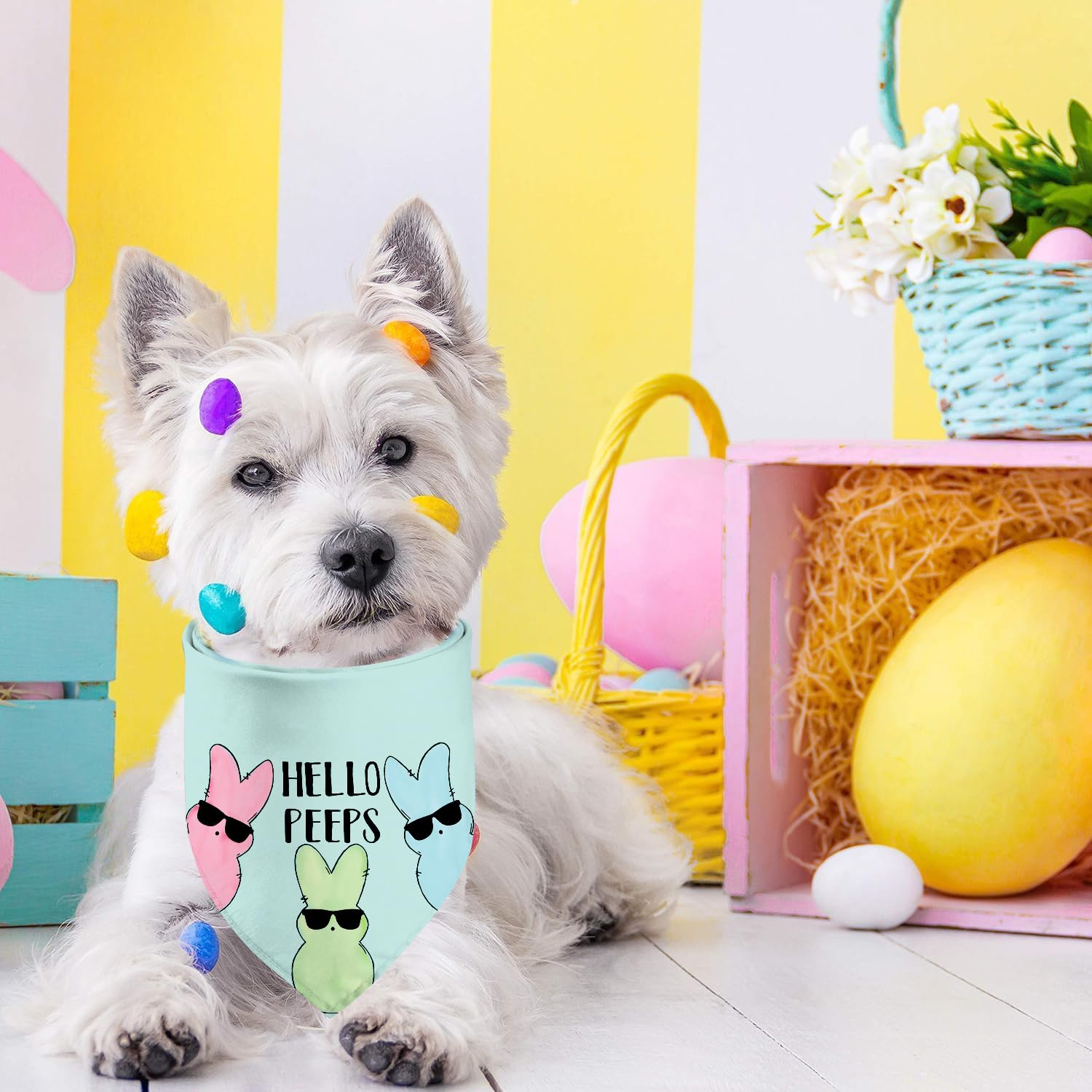 Easter Dog Bandanas, Reversible Hello Bunny Easter Pet Scarf 2 Pack, Happy Easter Holiday Puppy Dog Kerchief Gifts (Easter-02)