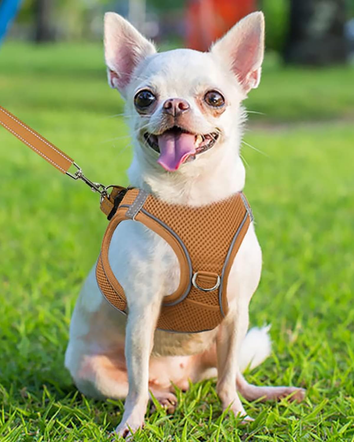 Joytale Small Dog Harness, Breathable Mesh Step-in Vest, Reflective Soft Padded Harnesses for Puppies and Extra Small Dogs, Brow