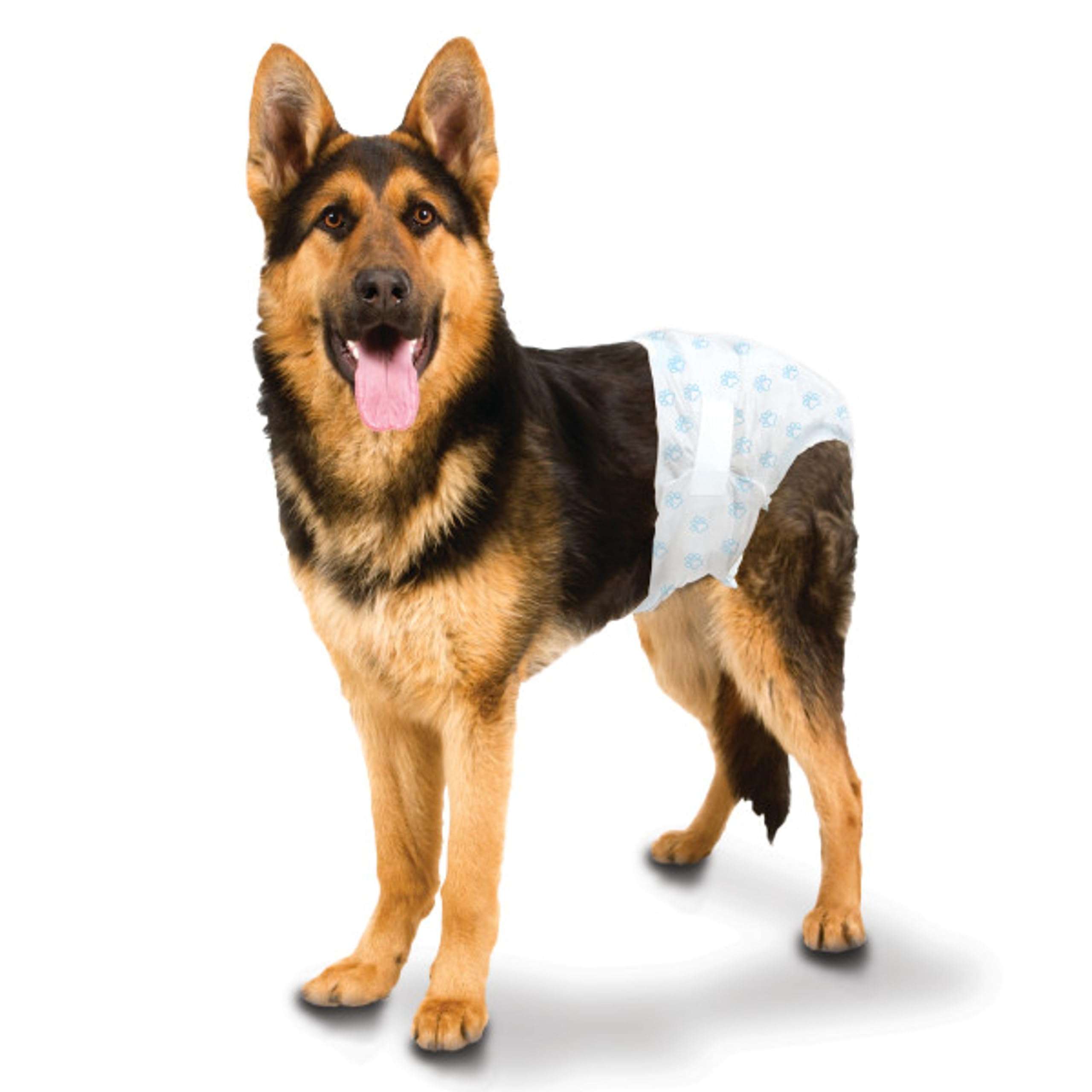 Four Paws Wee-Wee Super Absorbent Disposable Dog Diapers, Large (12 Count)