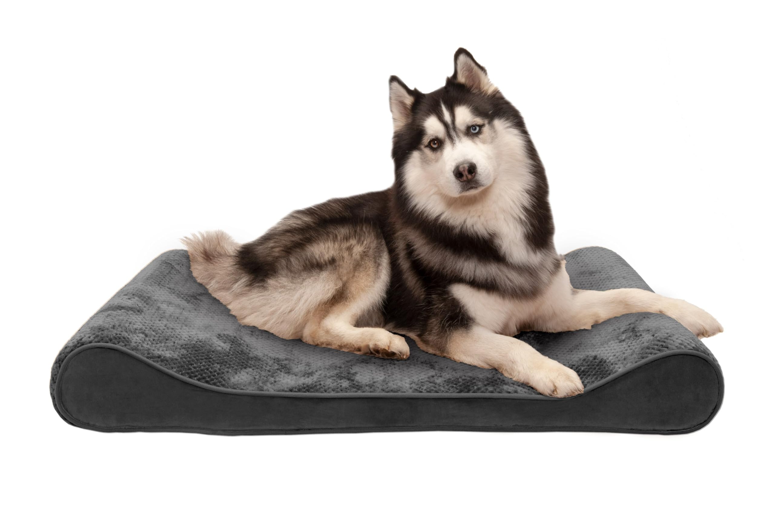 Furhaven Memory Foam Dog Bed for Large Dogs w/ Removable Washable Cover, For Dogs Up to 75 lbs - Minky Plush & Velvet Luxe Loung