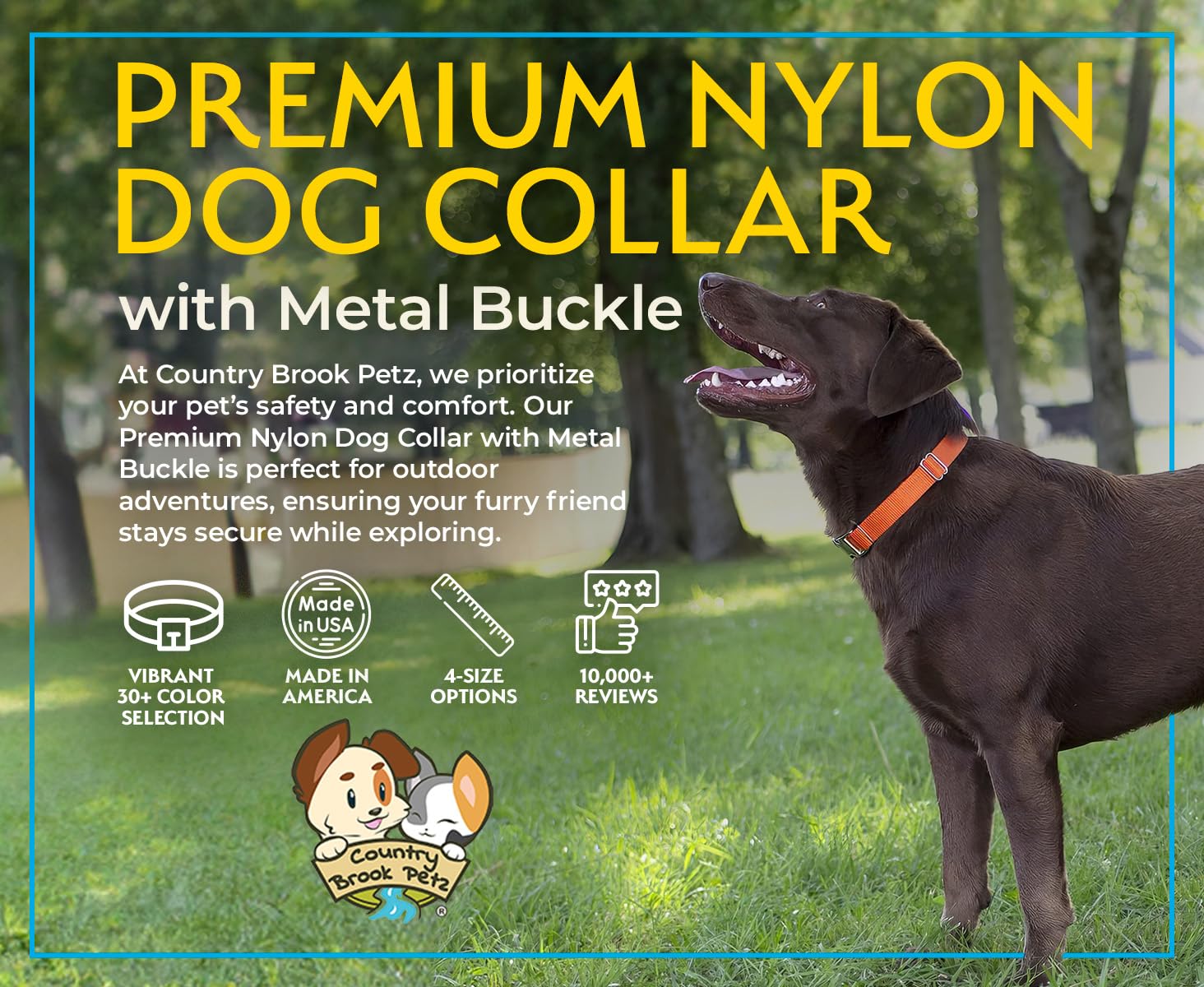 Country Brook Petz Premium Nylon Dog Collar with Metal Buckle for Small Medium Large Breeds - Vibrant 30+ Color Selection (Extra