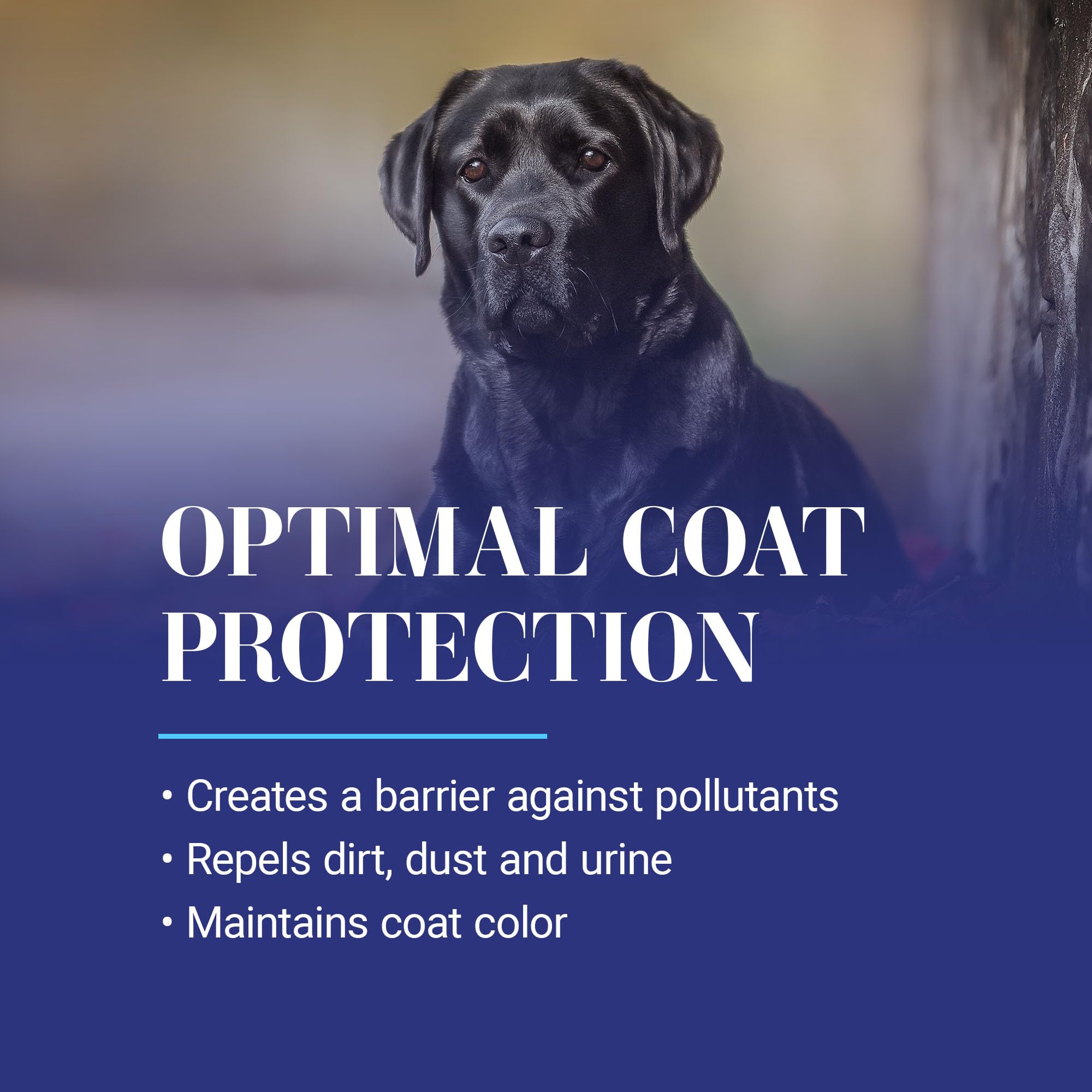 Chris Christensen Ice on Ice Ultra Conditioning Dematting Spray, Dog Conditioner, Groom Like a Professional, Lightweight Formula