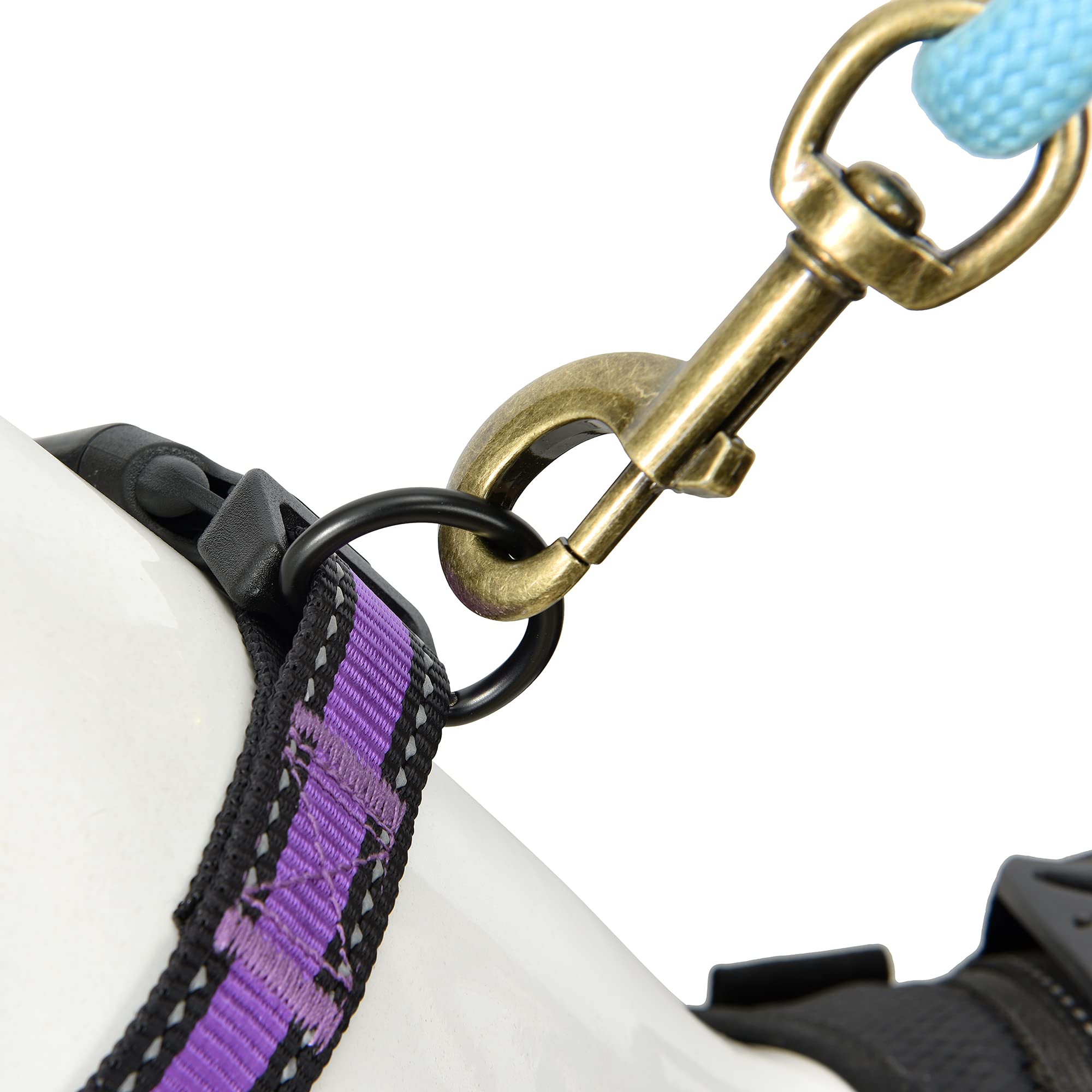 Mile High Life Dog Collar | Nylon Reflective Dog Collars | Light Weight Puppy Collars | Purple Dog Collars For Large Dogs (Purpl