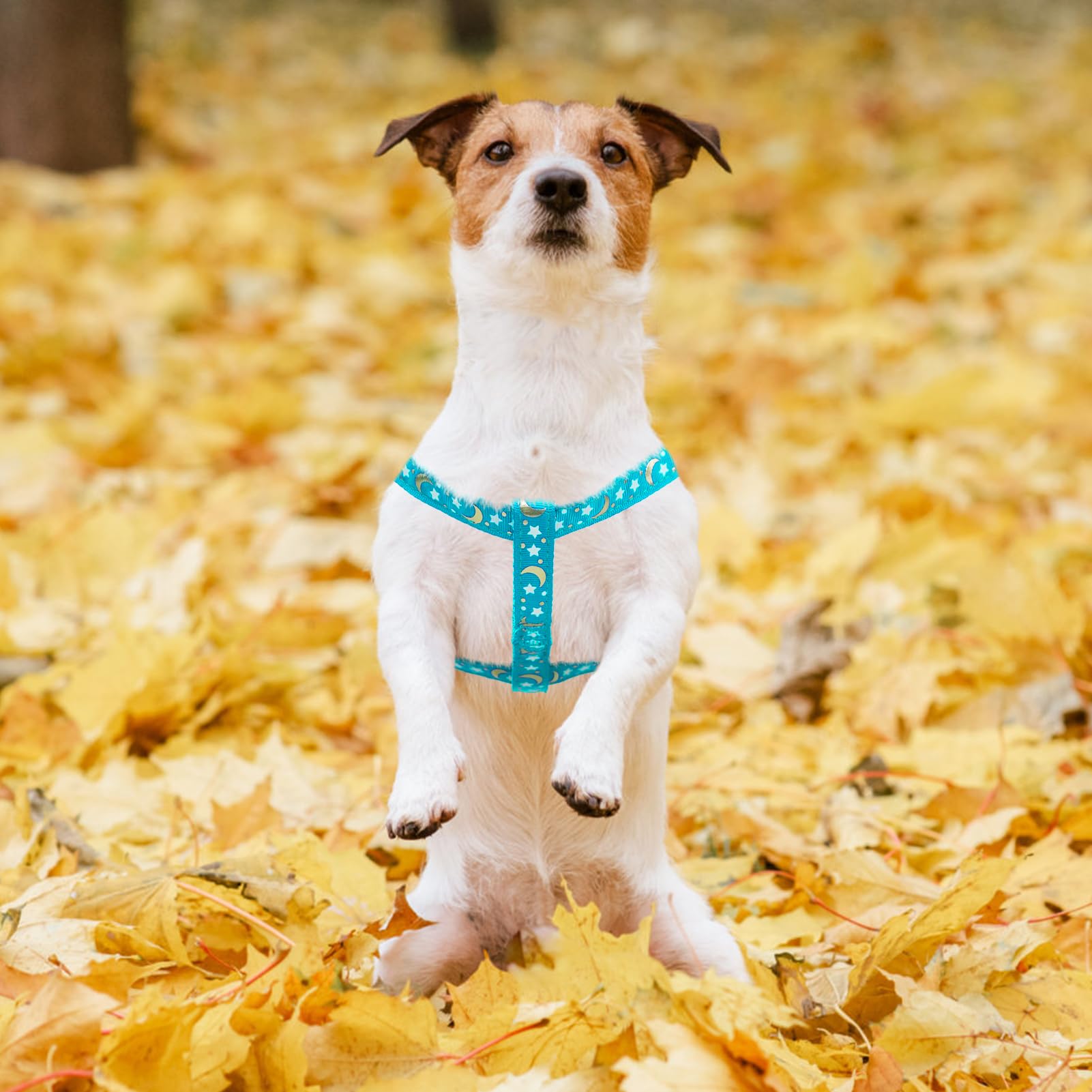 Pupteck No Pull Dog Harness Soft Adjustable Basic Nylon Step In Puppy Vest Outdoor Walking With Id Tag, Moon Star Sky Blue, S