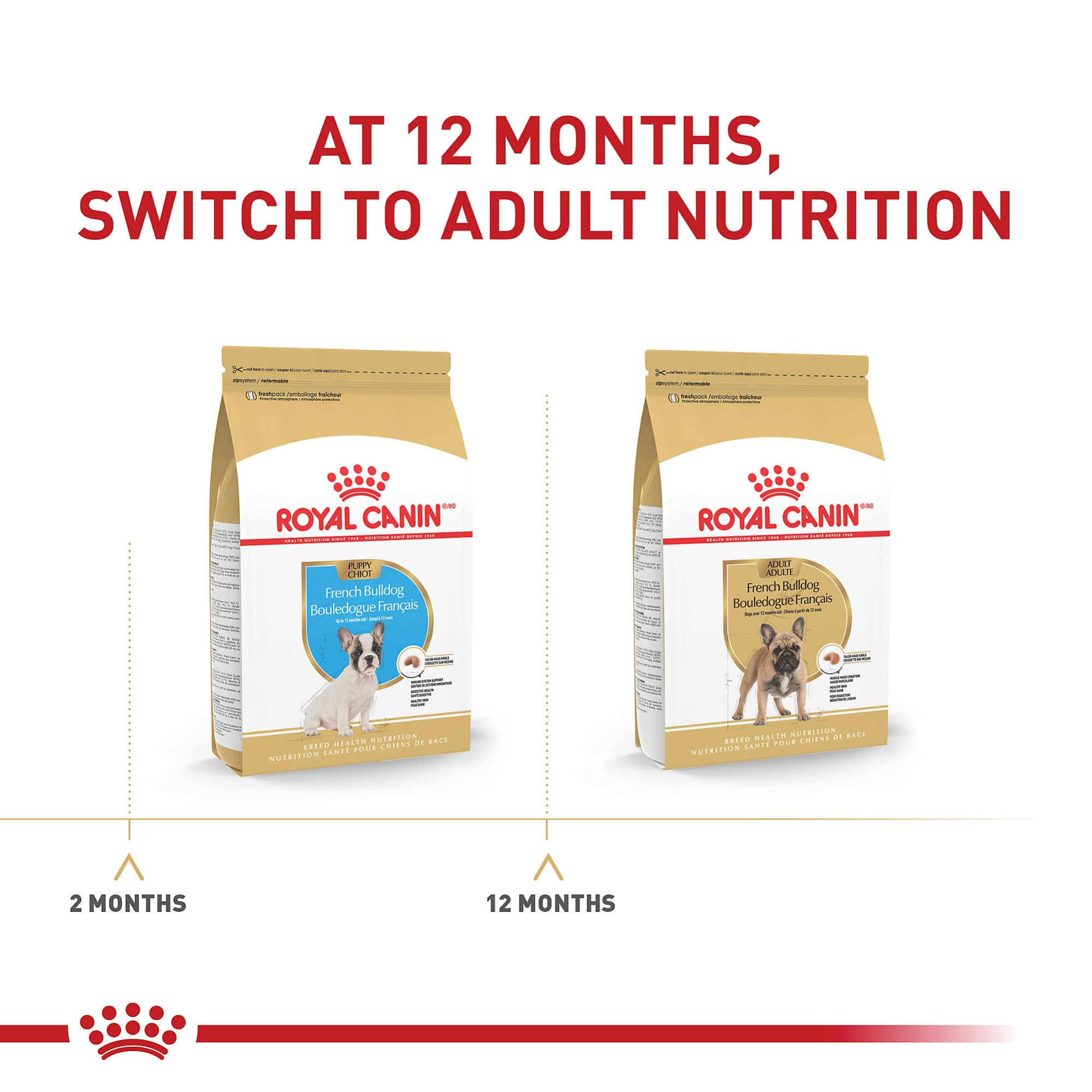 Royal Canin French Bulldog Puppy Dry Dog Food, 10.5 lb Bag - Nutritious Formula for Healthy Growth