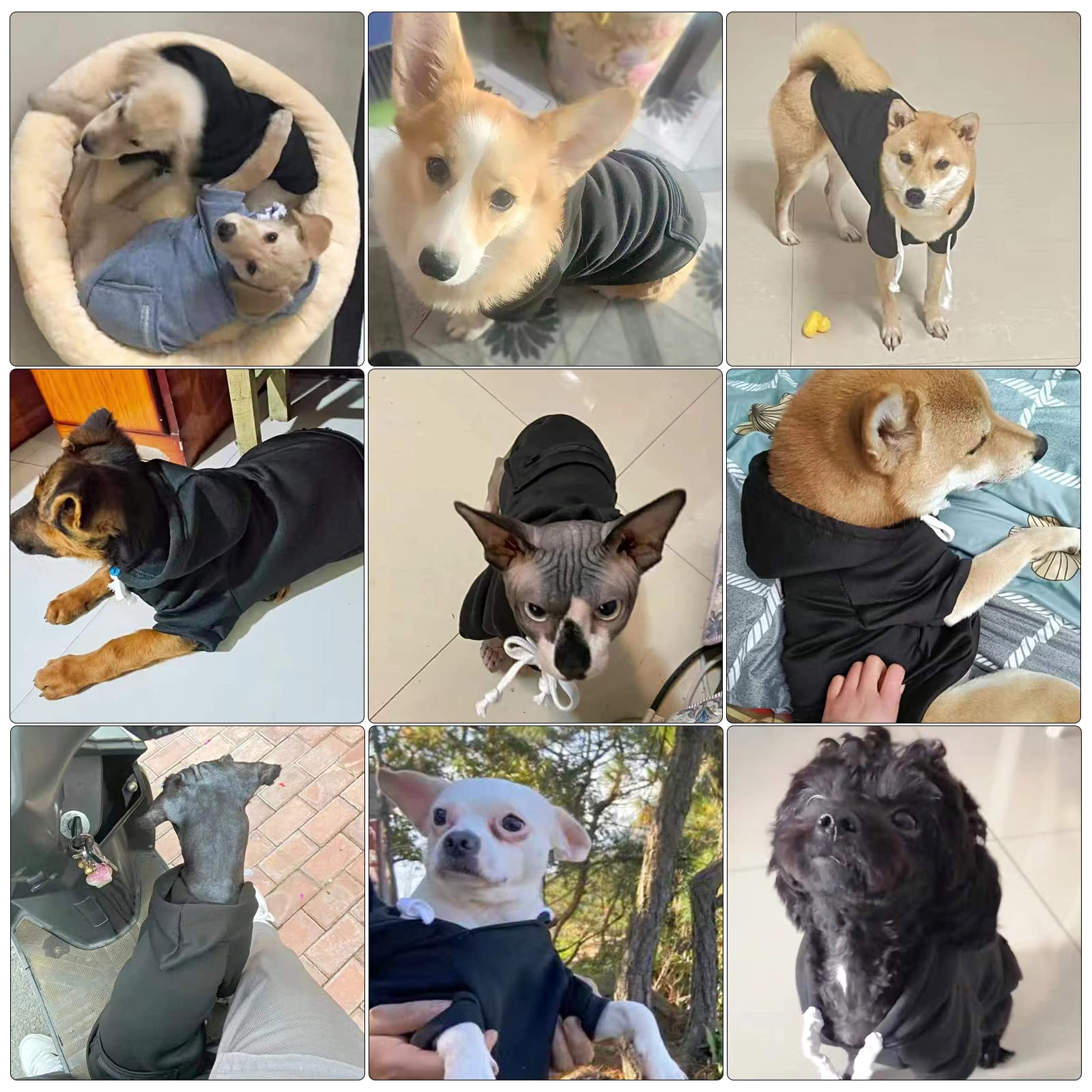 Petcare Small Dog Hoodie Cat Sweater Black Warm Soft Fleece Sweatshirts With Pocket Fall Winter Puppy Sweaters Cat Clothes For C