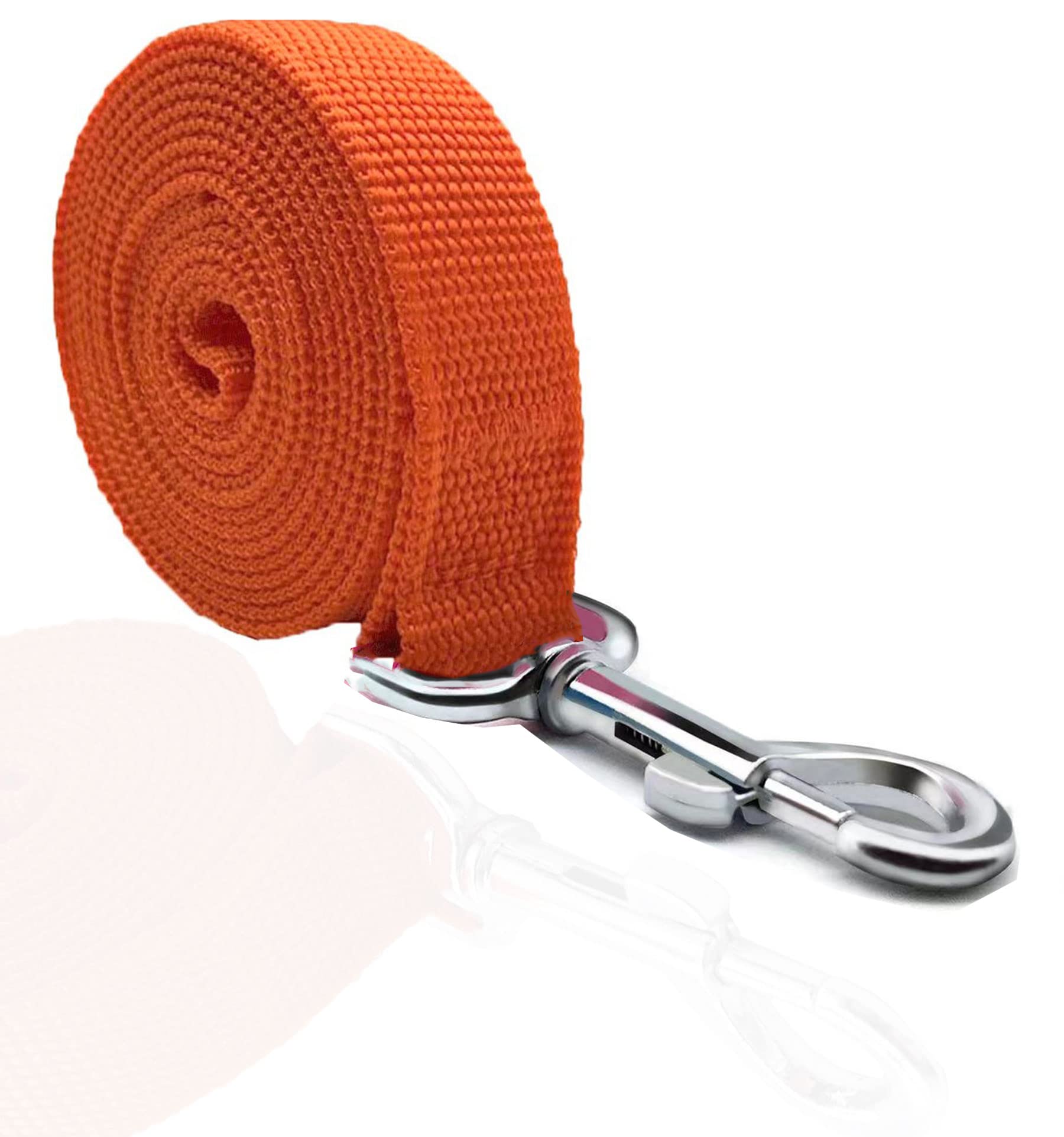 Taian 4Ft/5Ft/6Ft Strong Dog Leash, Nylon Dog Leashes For Small Medium Large Dogs (Orange, 1 In X 10 Ft)