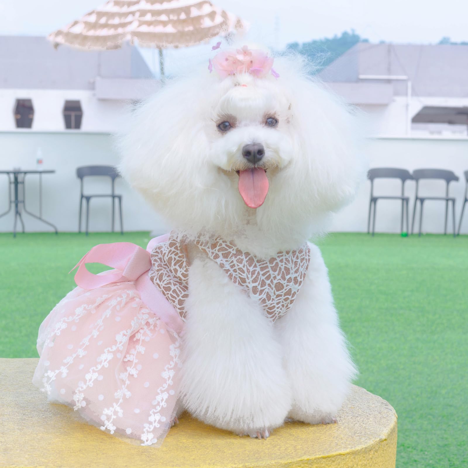Cutebone Dog Birthday Dress Girl Puppy Skirt Tutu Cat Wedding Outfit Pet Party Clothes For Small Dogs Costume Dd23M
