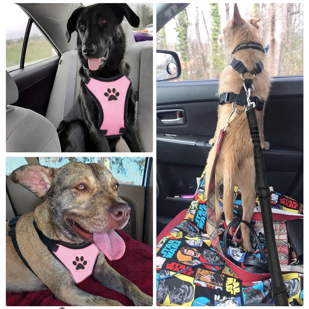 Slowton Dog Car Harness Seatbelt Set, Dog Vest Harness Adjustable Mesh Breathable & Vehicle Safety Seat Belt Tether With Elastic Bungee For Small Medium Large Pets(Pi,Xxxs)