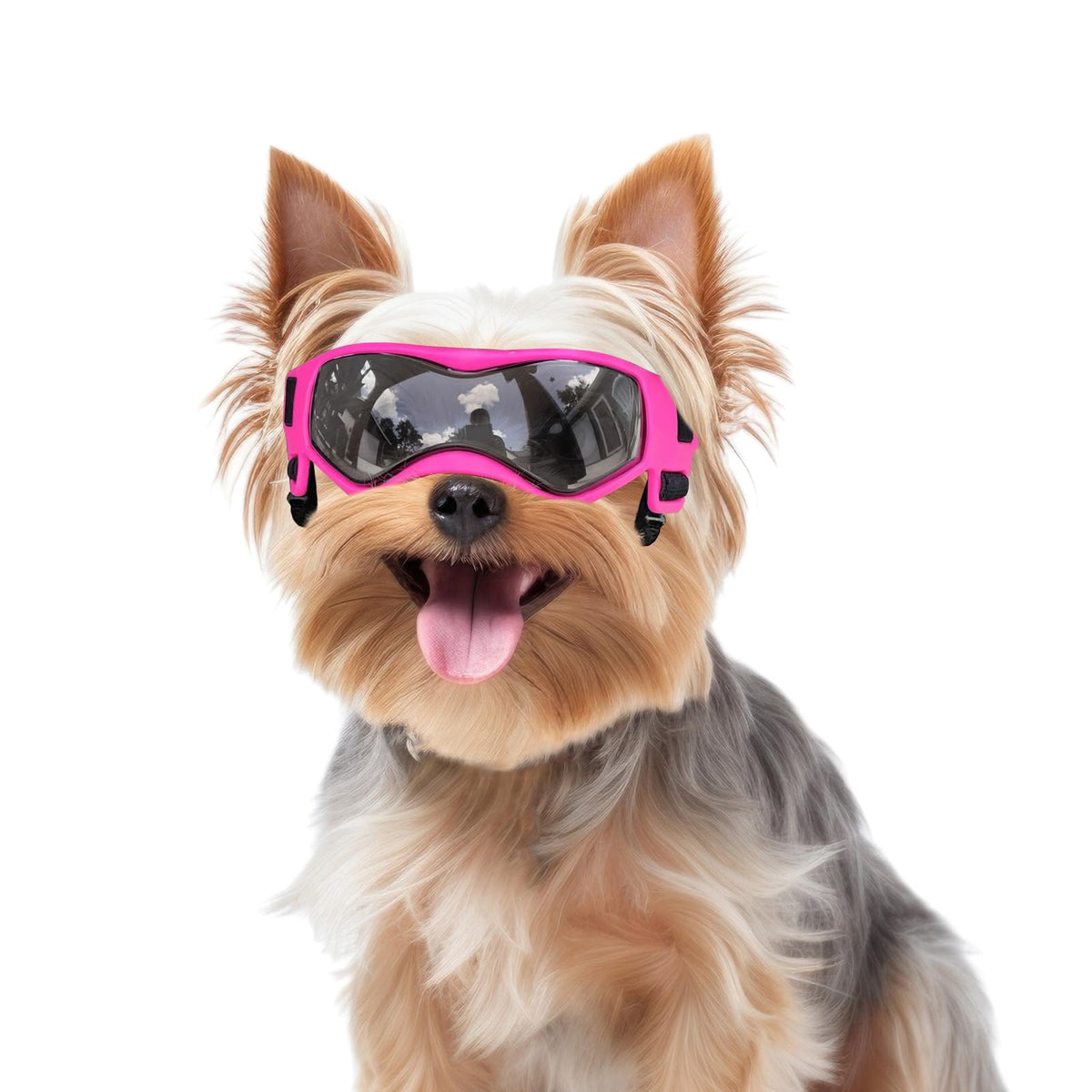 dog goggles for small dogs Petleso Dog Goggles Small Breed, Dog Sunglasses Small Breed Dog Eye Su – Petocart
