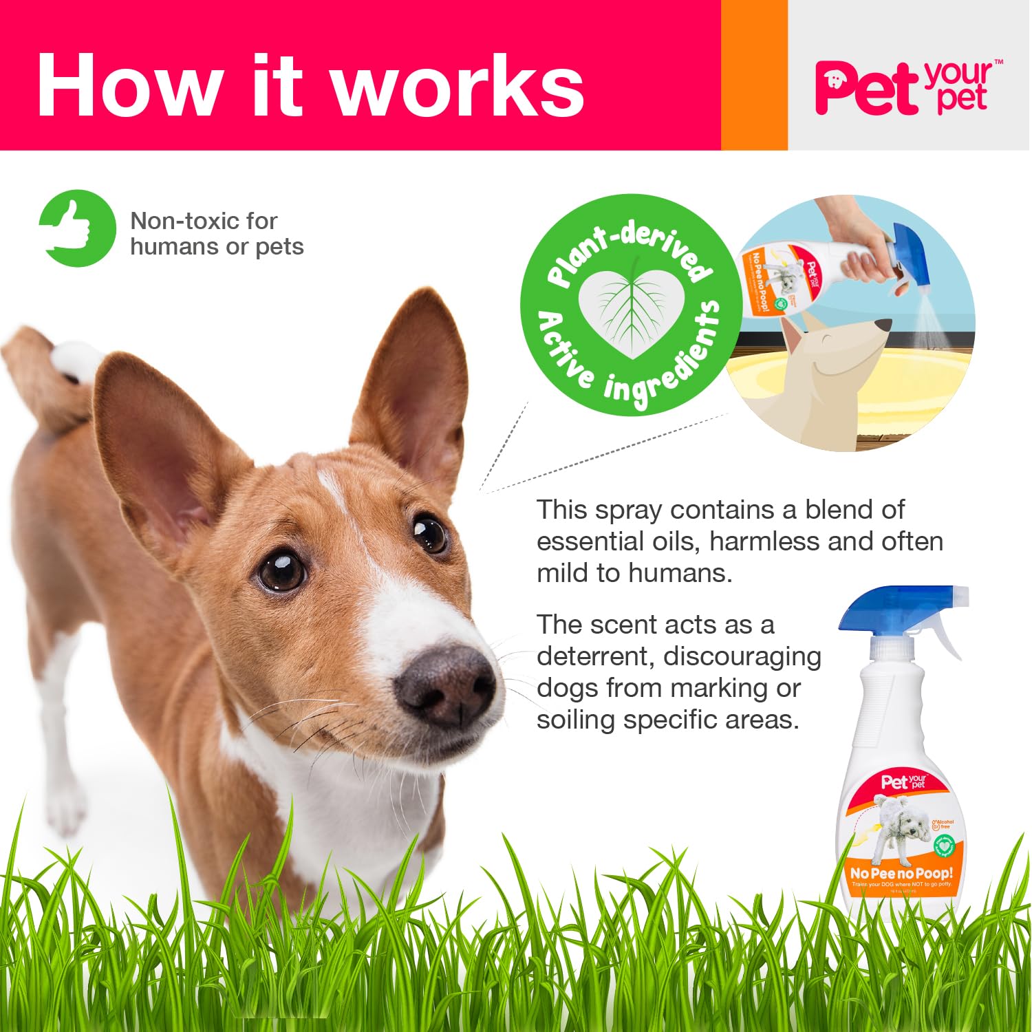 No Pee No Poop Dog Potty Training Spray, 16 Fl Oz - Non-Toxic Dog Spray To Prevent Peeing And Pooping - Natural No Urine Marking