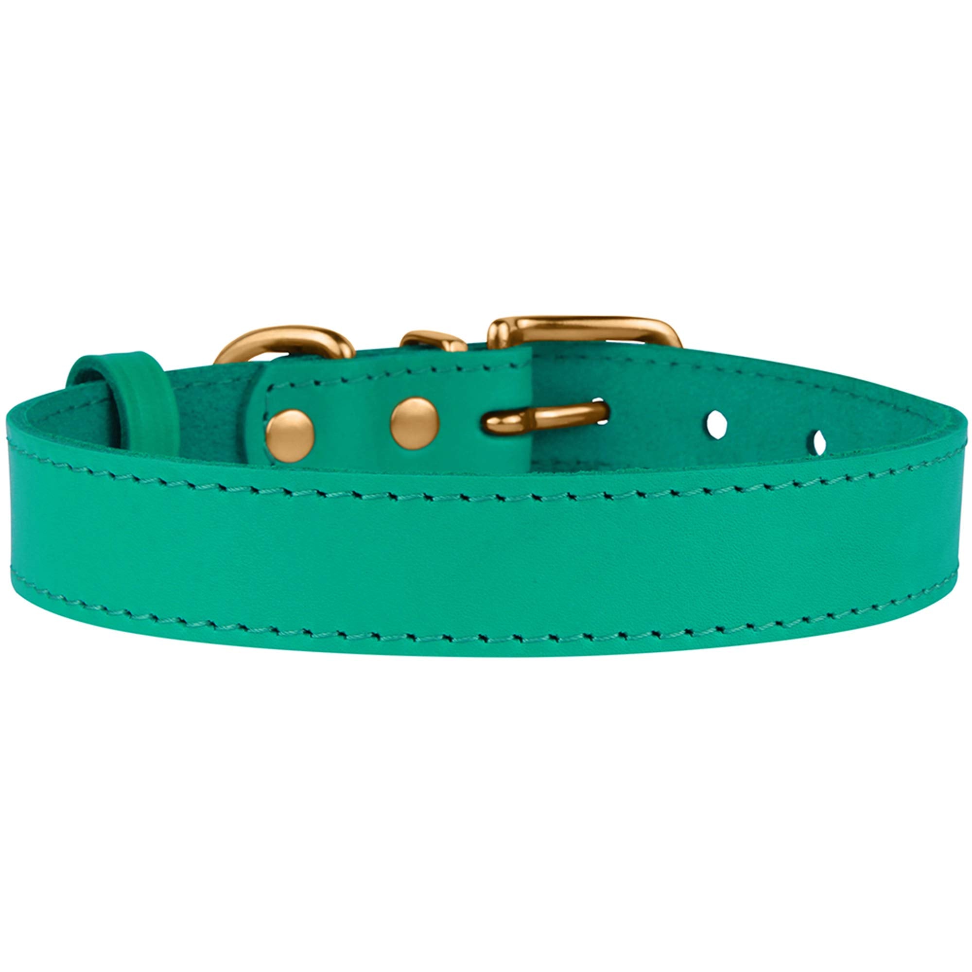 Bronzedog Leather Dog Collar With Qr Id Tag Basic Pet Collars For Small Mini Dogs Cats Puppies (7-9 Inch (Pack Of 1), Green & Gold Buckle)