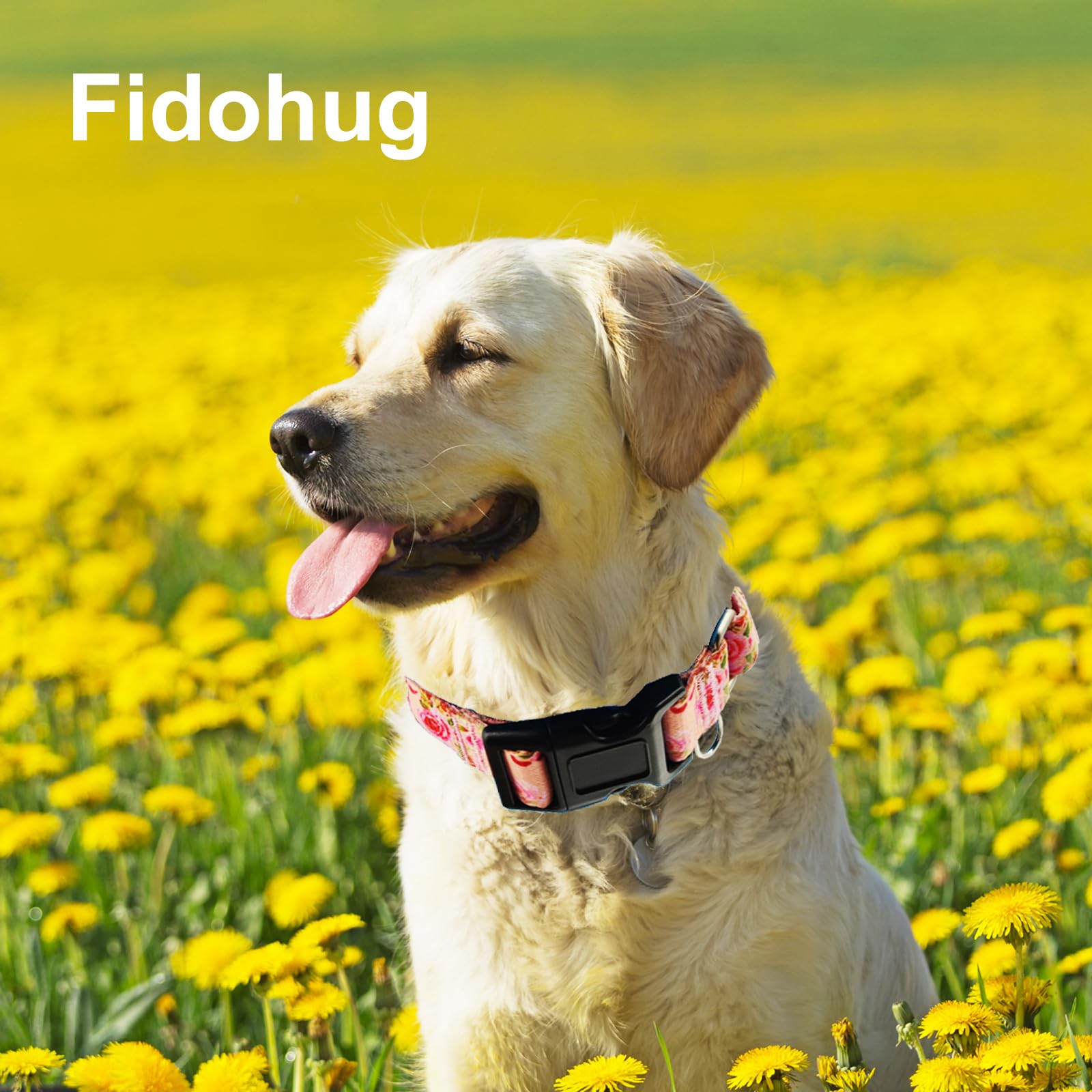 Fidohug Martingale Collar For Dogs With Buckle Pink Floral Dog Collars No Pull Cute Girl Female Dog Collar For Large Dogs, Water